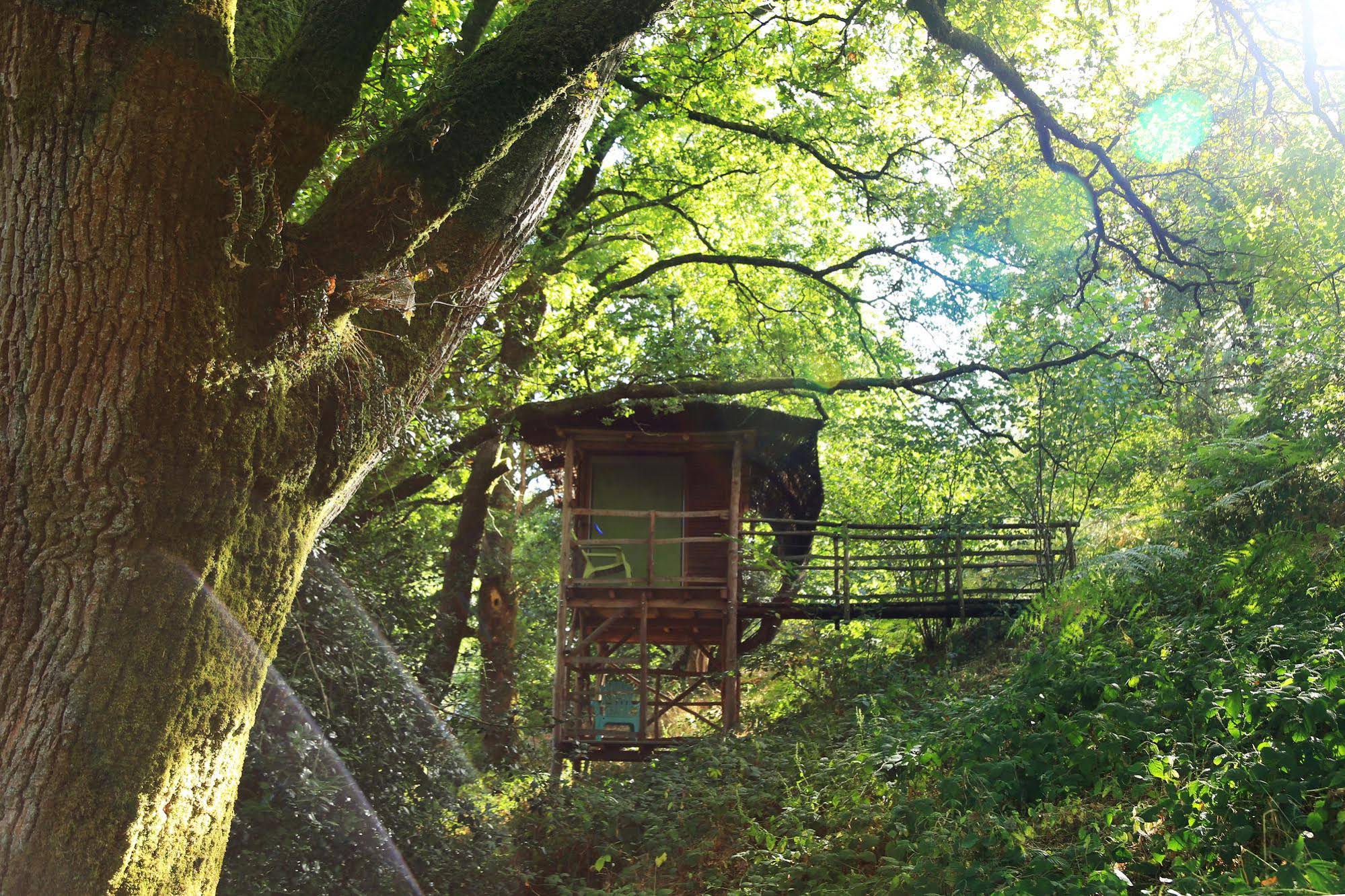Terragora Lodges