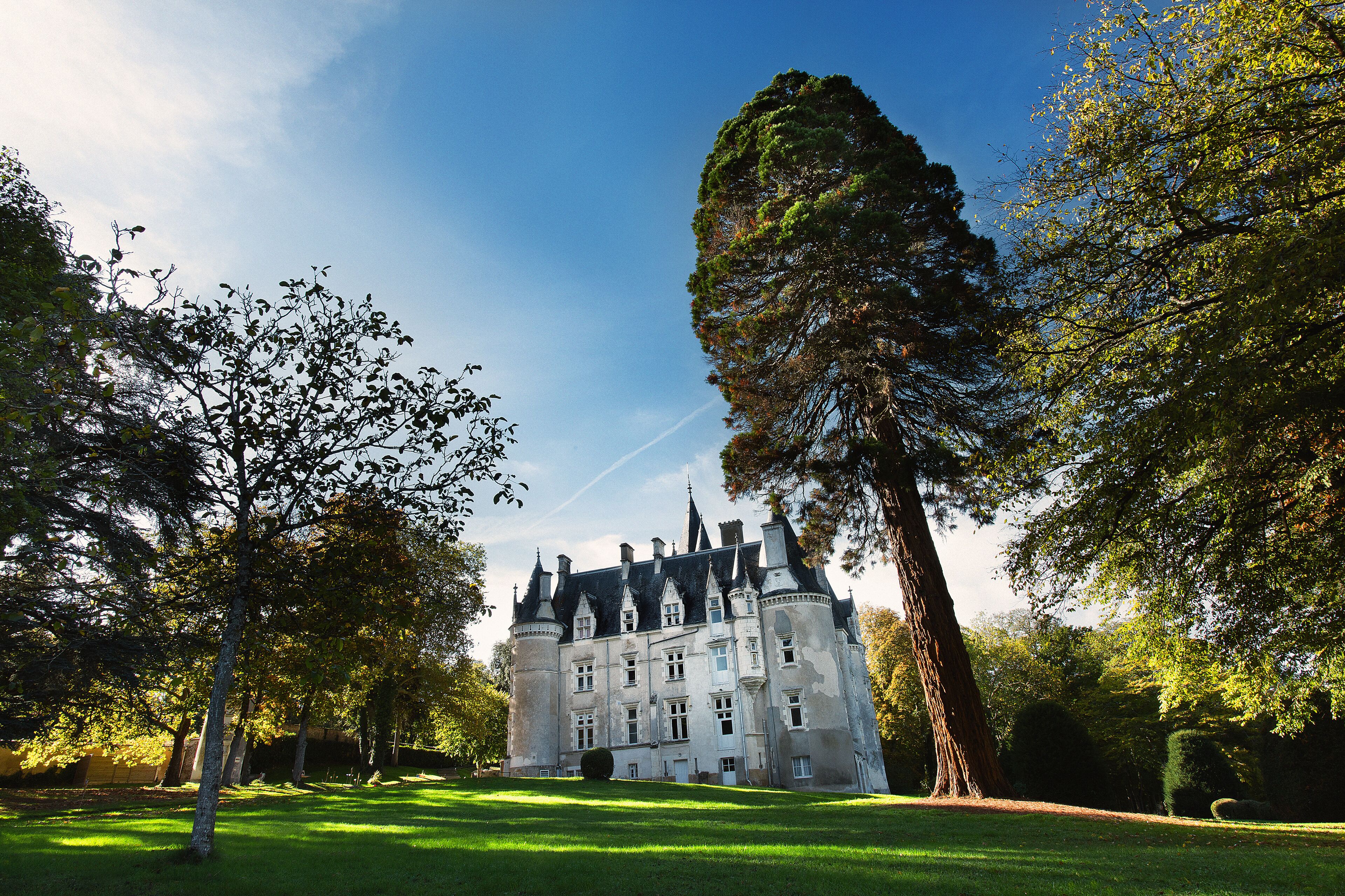 Château Damenon