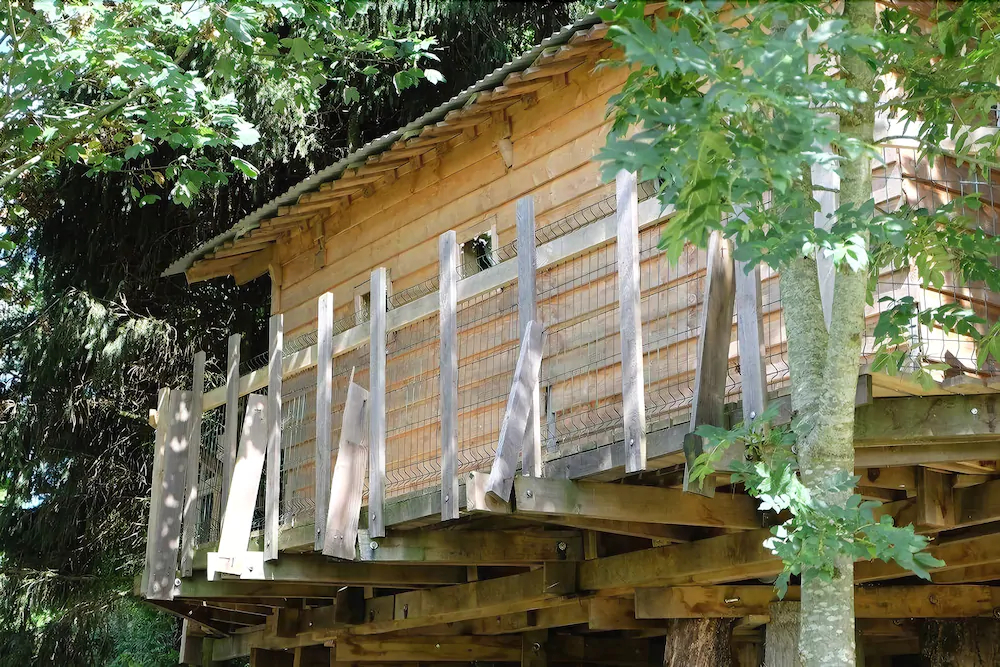 Cabane Dans Les Arbres - Le Nid Dans Le Chêne Cabane Dans Les Arbres - Le Nid Dans Le Chêne