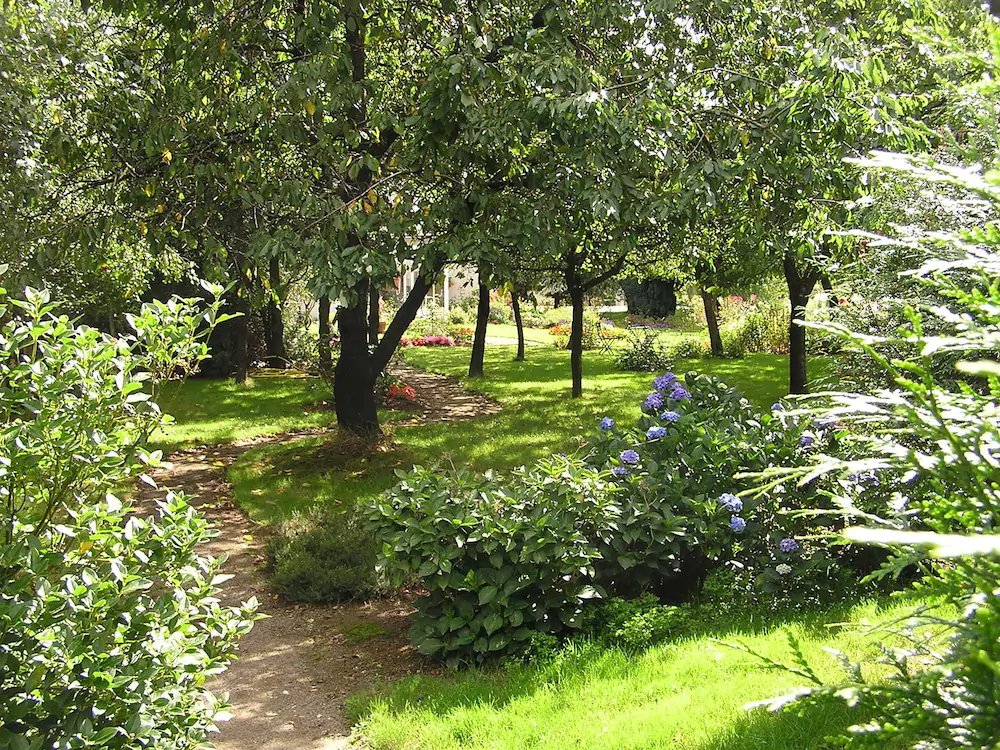 Cabane Dans Les Arbres - Le Nid Dans Le Chêne Cabane Dans Les Arbres - Le Nid Dans Le Chêne