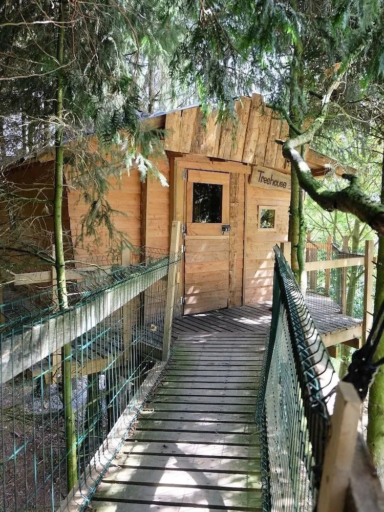 Cabane Dans Les Arbres - Le Nid Dans Le Chêne Cabane Dans Les Arbres - Le Nid Dans Le Chêne