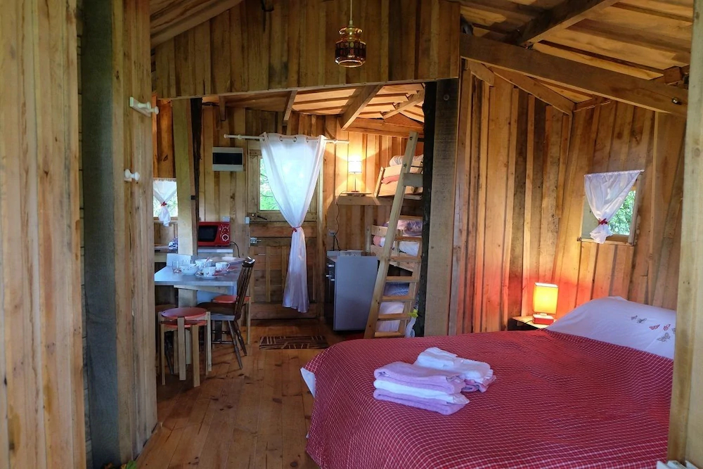 Cabane Dans Les Arbres - Le Nid Dans Le Chêne Cabane Dans Les Arbres - Le Nid Dans Le Chêne
