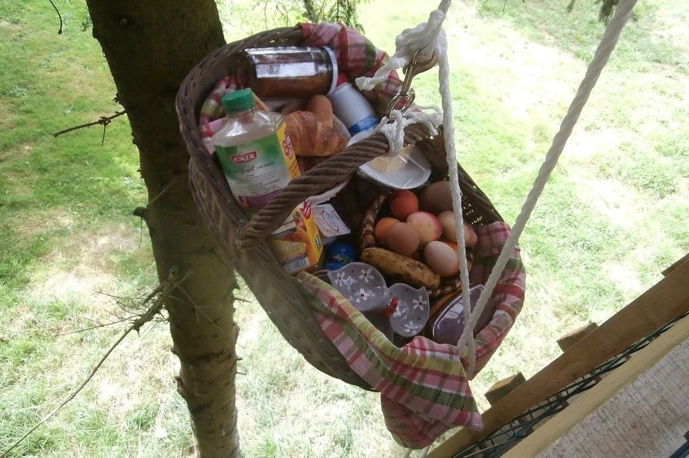 Cabane Dans Les Arbres - Le Nid Dans Le Chêne Cabane Dans Les Arbres - Le Nid Dans Le Chêne