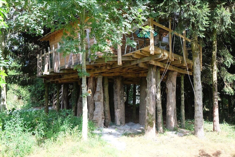 Cabane Dans Les Arbres - Le Nid Dans Le Chêne Cabane Dans Les Arbres - Le Nid Dans Le Chêne