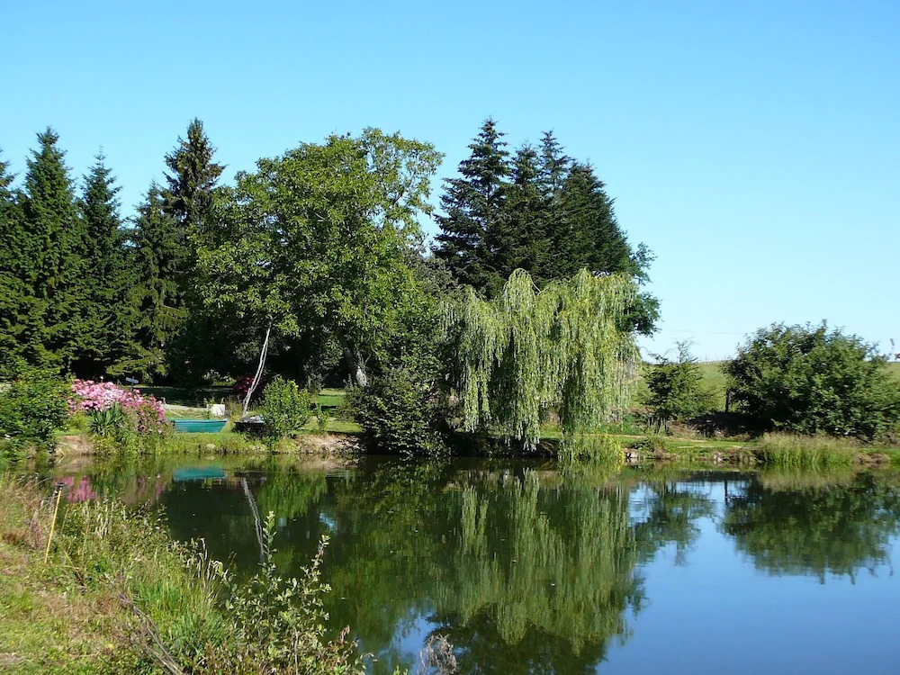 Cabane Dans Les Arbres - Le Nid Dans Le Chêne Cabane Dans Les Arbres - Le Nid Dans Le Chêne
