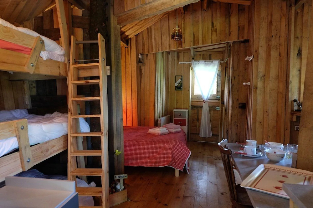 Cabane Dans Les Arbres - Le Nid Dans Le Chêne Cabane Dans Les Arbres - Le Nid Dans Le Chêne
