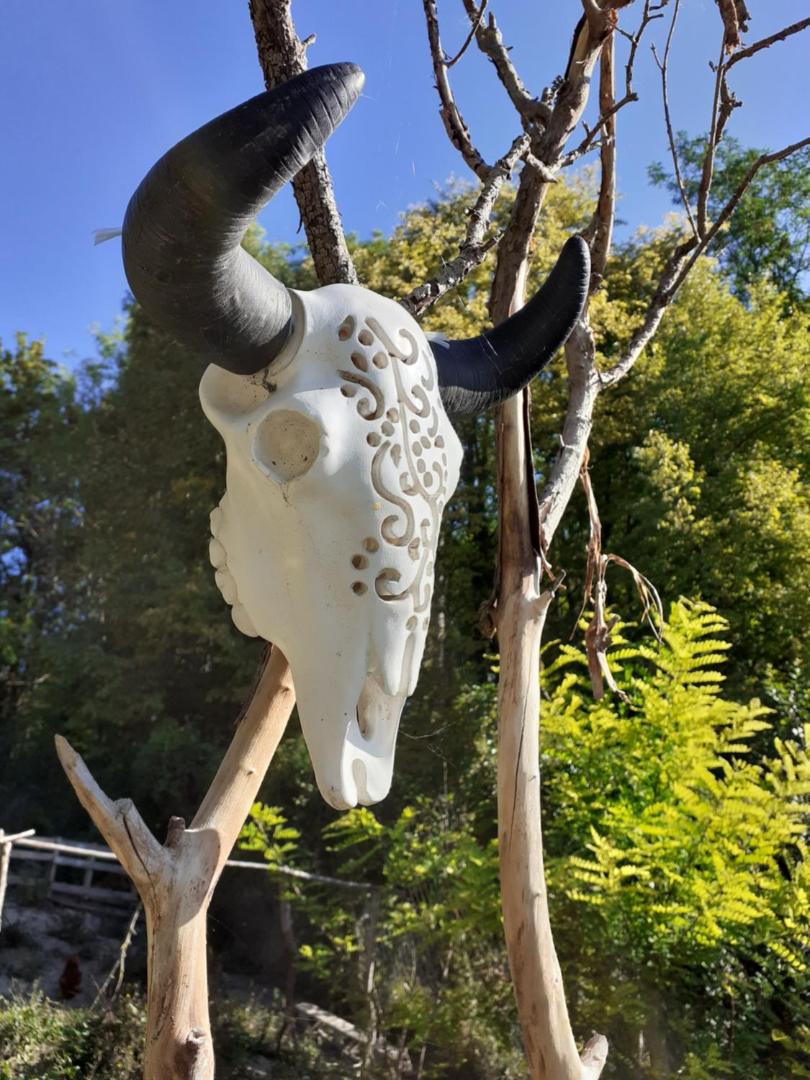 La Cabane Aux Loups