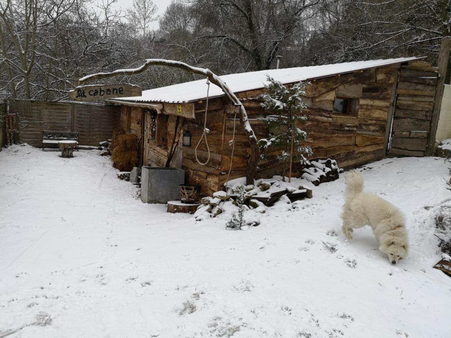 La Cabane Aux Loups