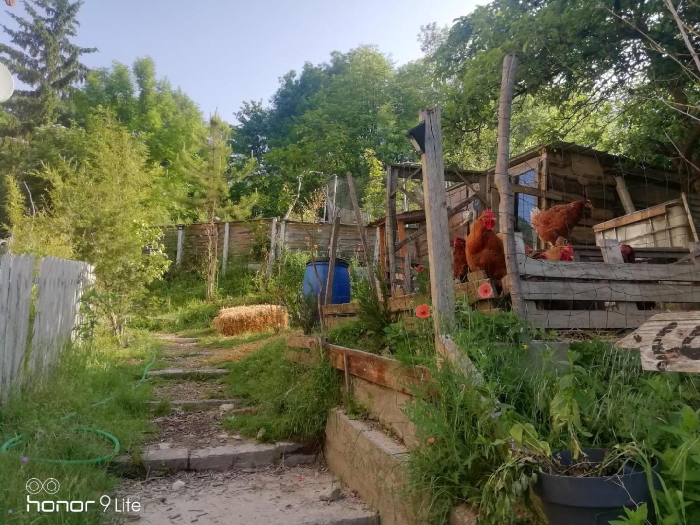 La Cabane Aux Loups