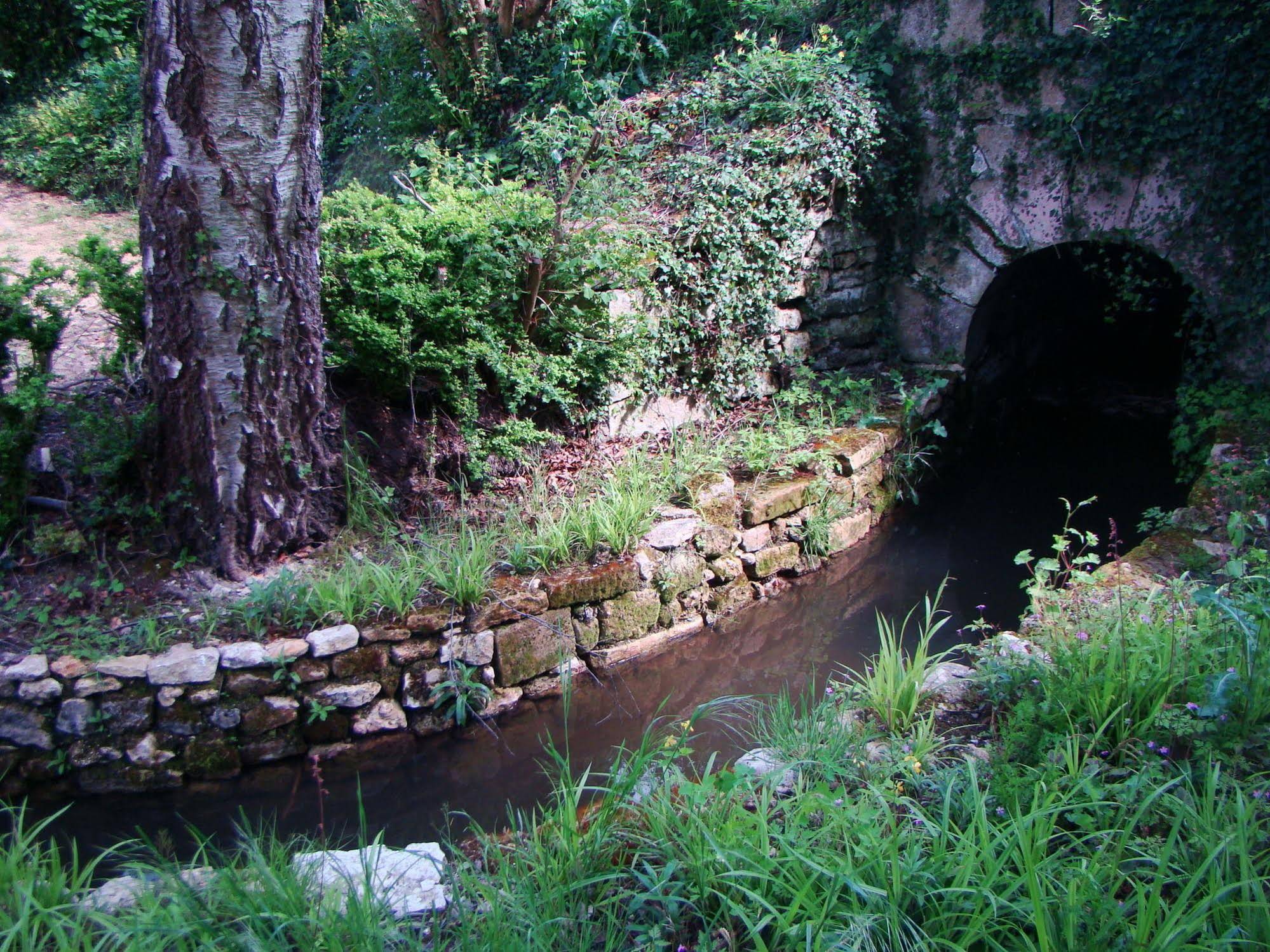 Le Jardin De Saint Jean
