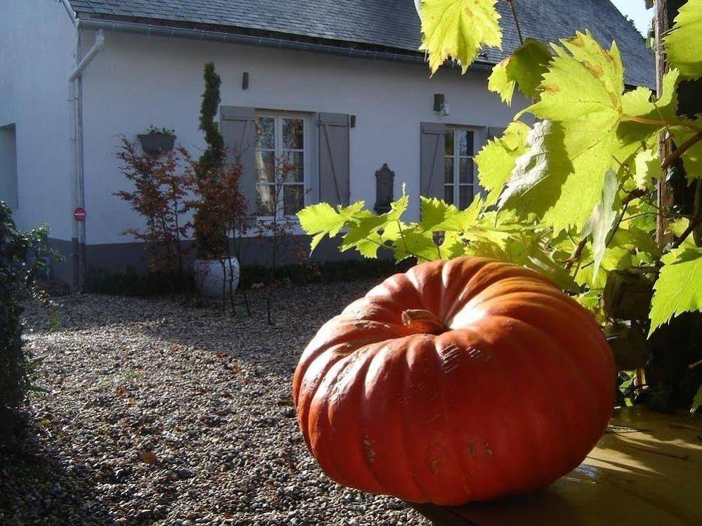 Cottage d'Hamicourt