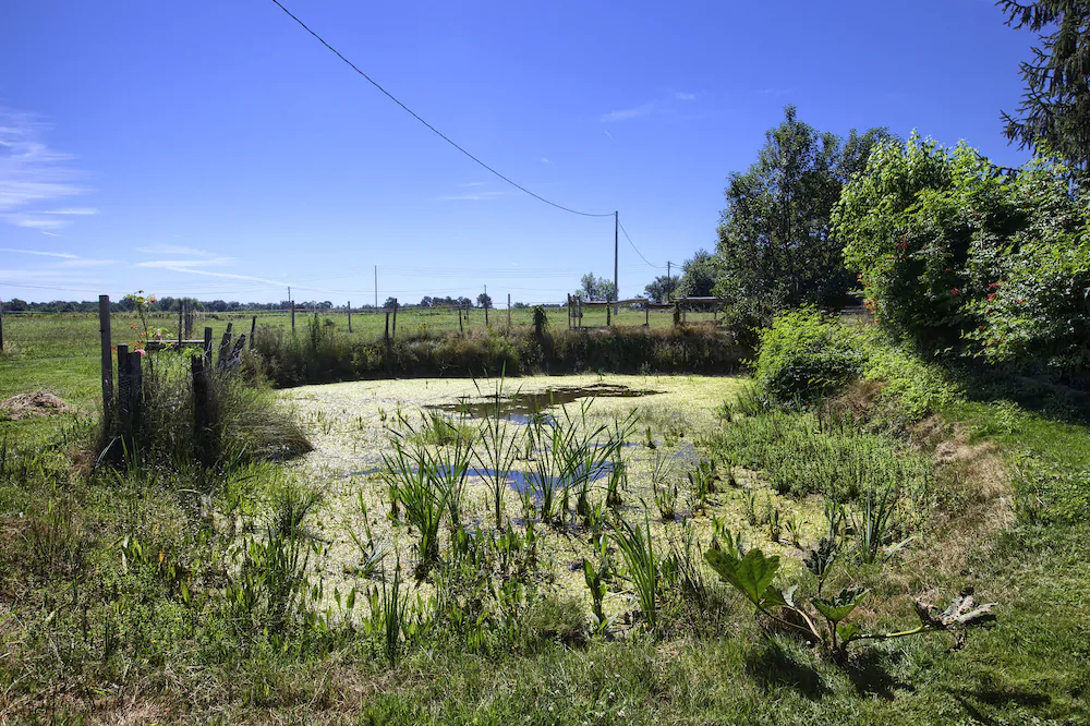 Le Domaine Toutet