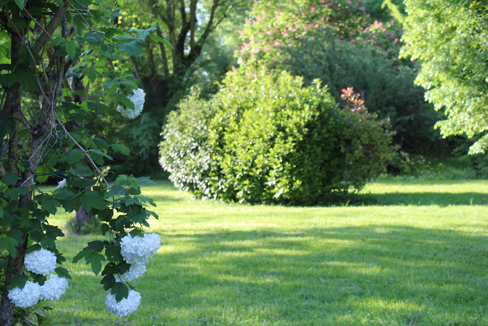 Le Parc Gite & Chambres D'hotes