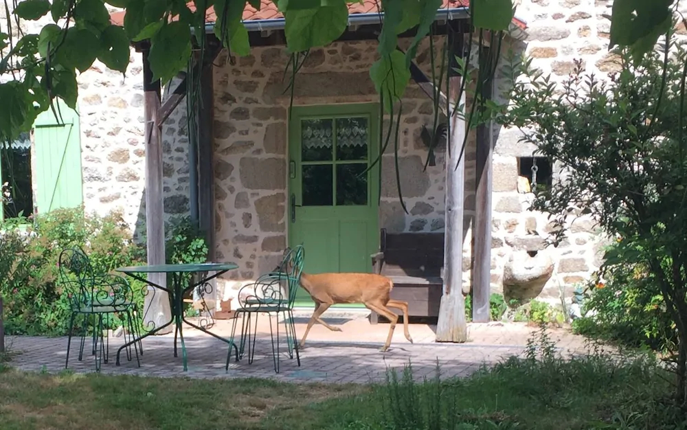 Chambres d'Hôtes La Couade