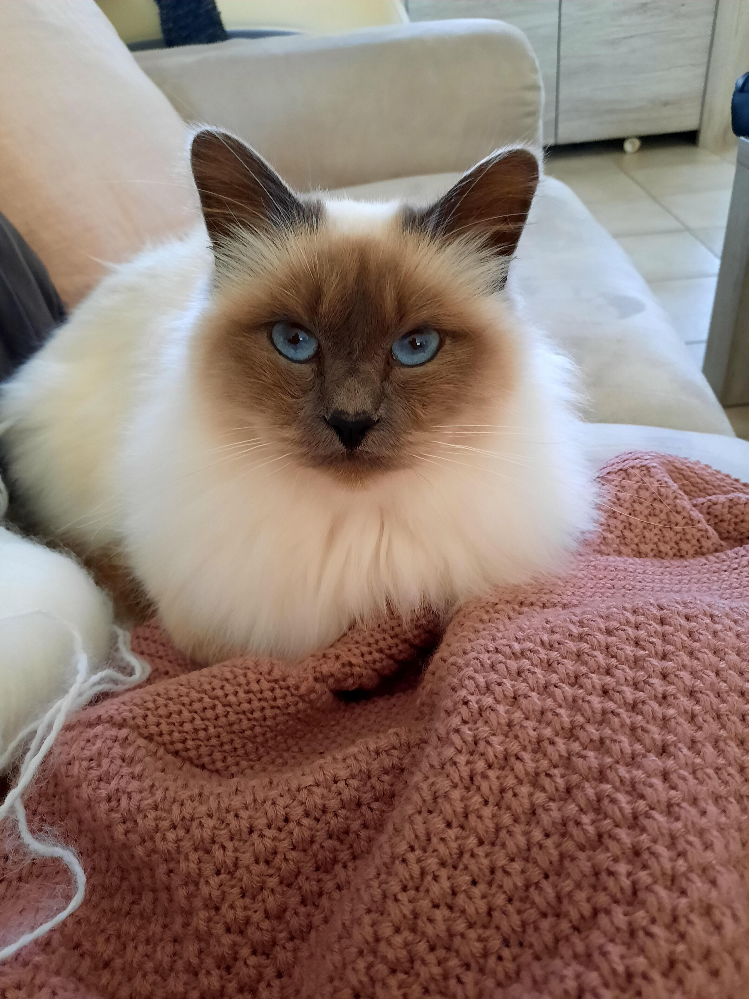 L'instant Bleu