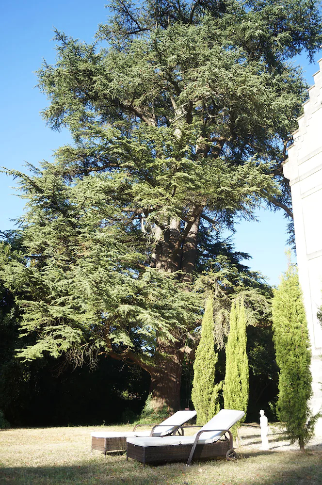 Chateau Le Parc de Mirambeau