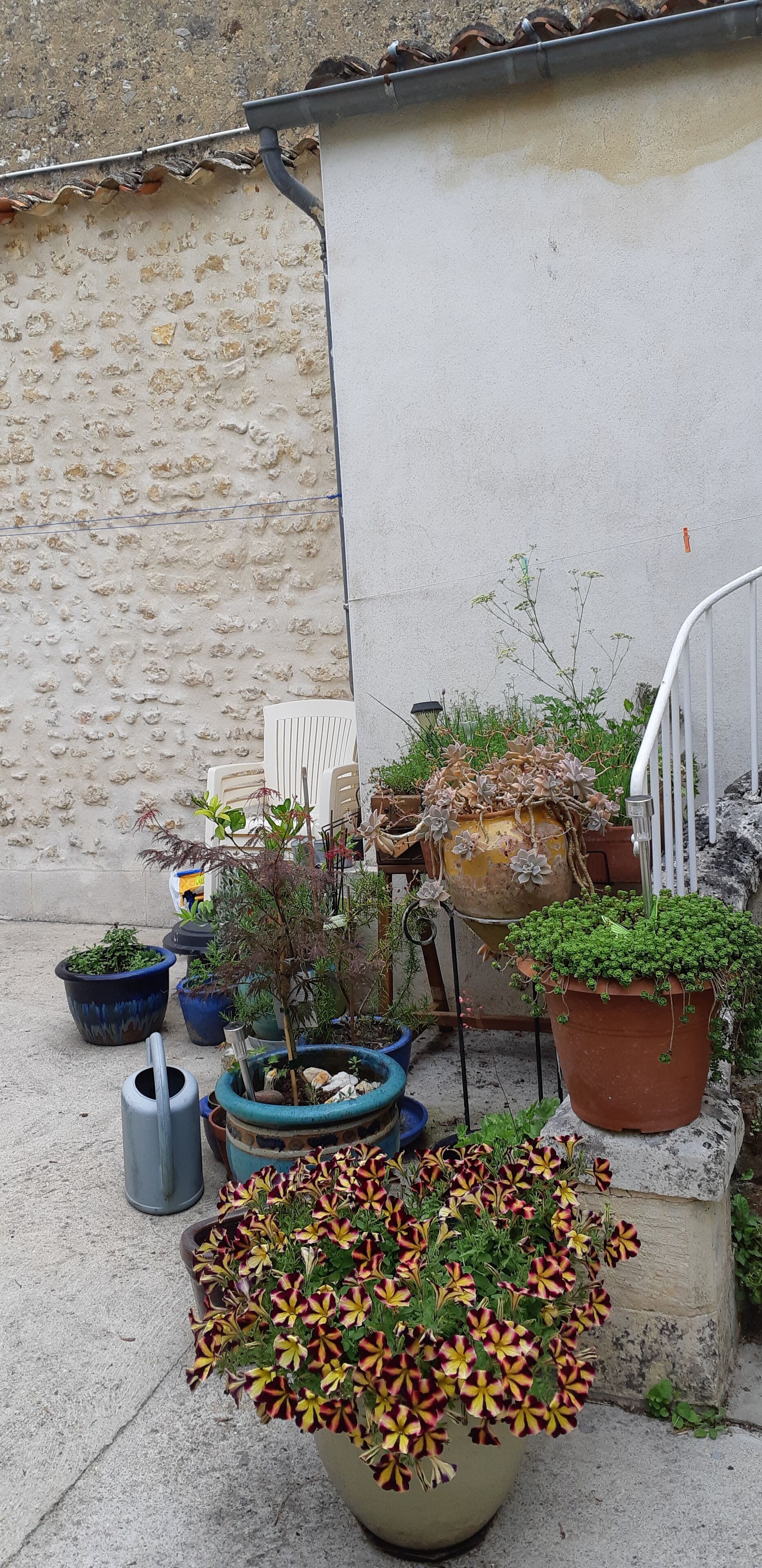 La Miramboise