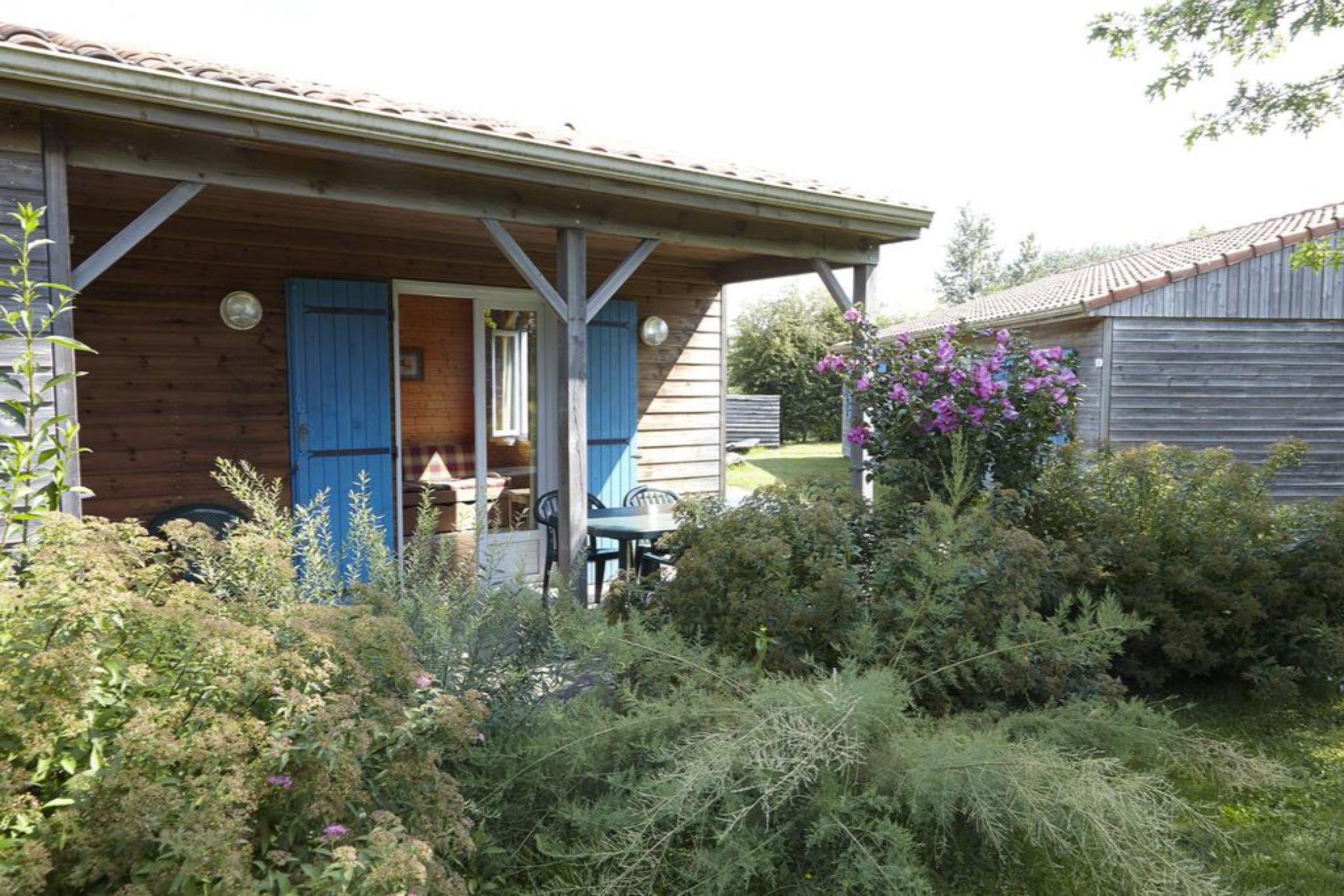 Natura Resort Pescalis