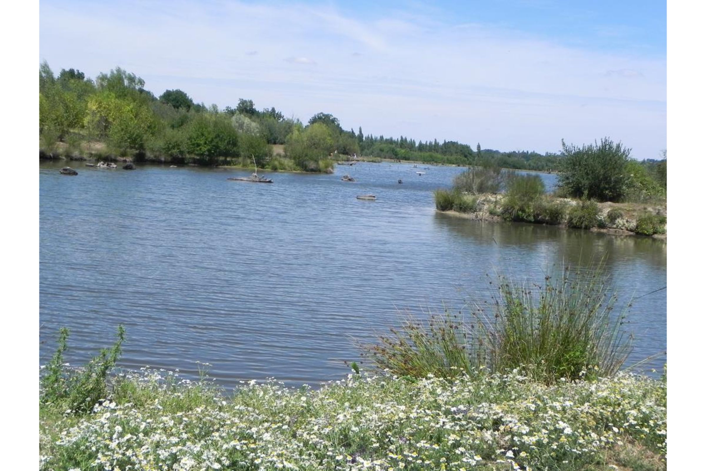 Natura Resort Pescalis