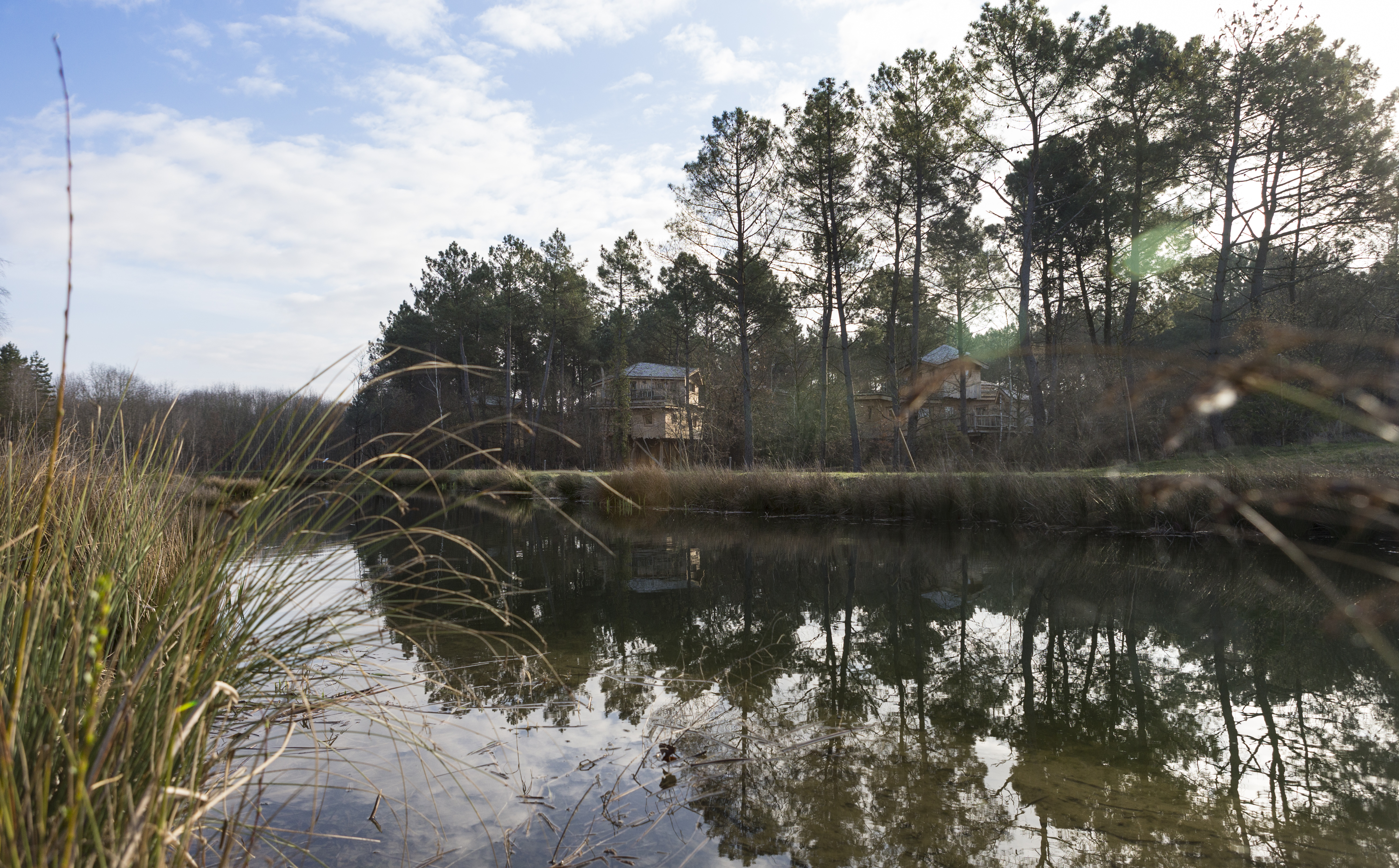 Center Parcs Le Bois Aux Daims