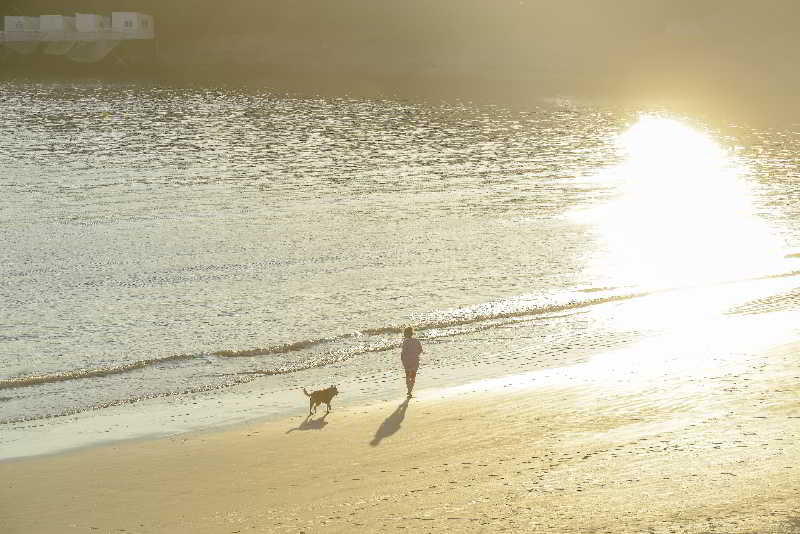 Le Grand Hotel de la Plage