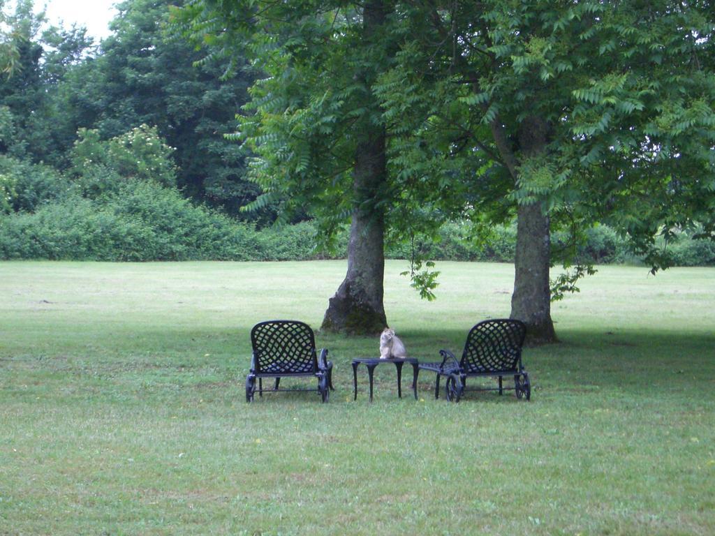Chateau des Salles
