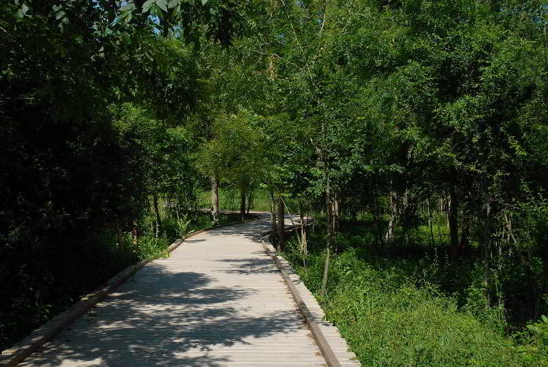 Les Jardins du Lac