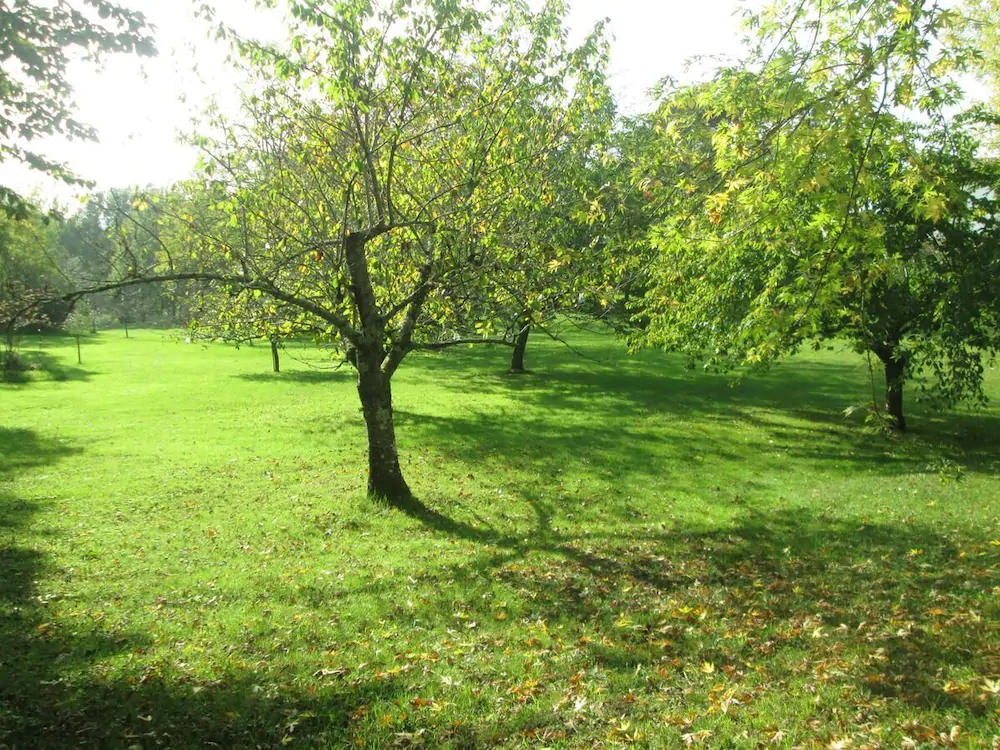 Domaine Des Cantiques