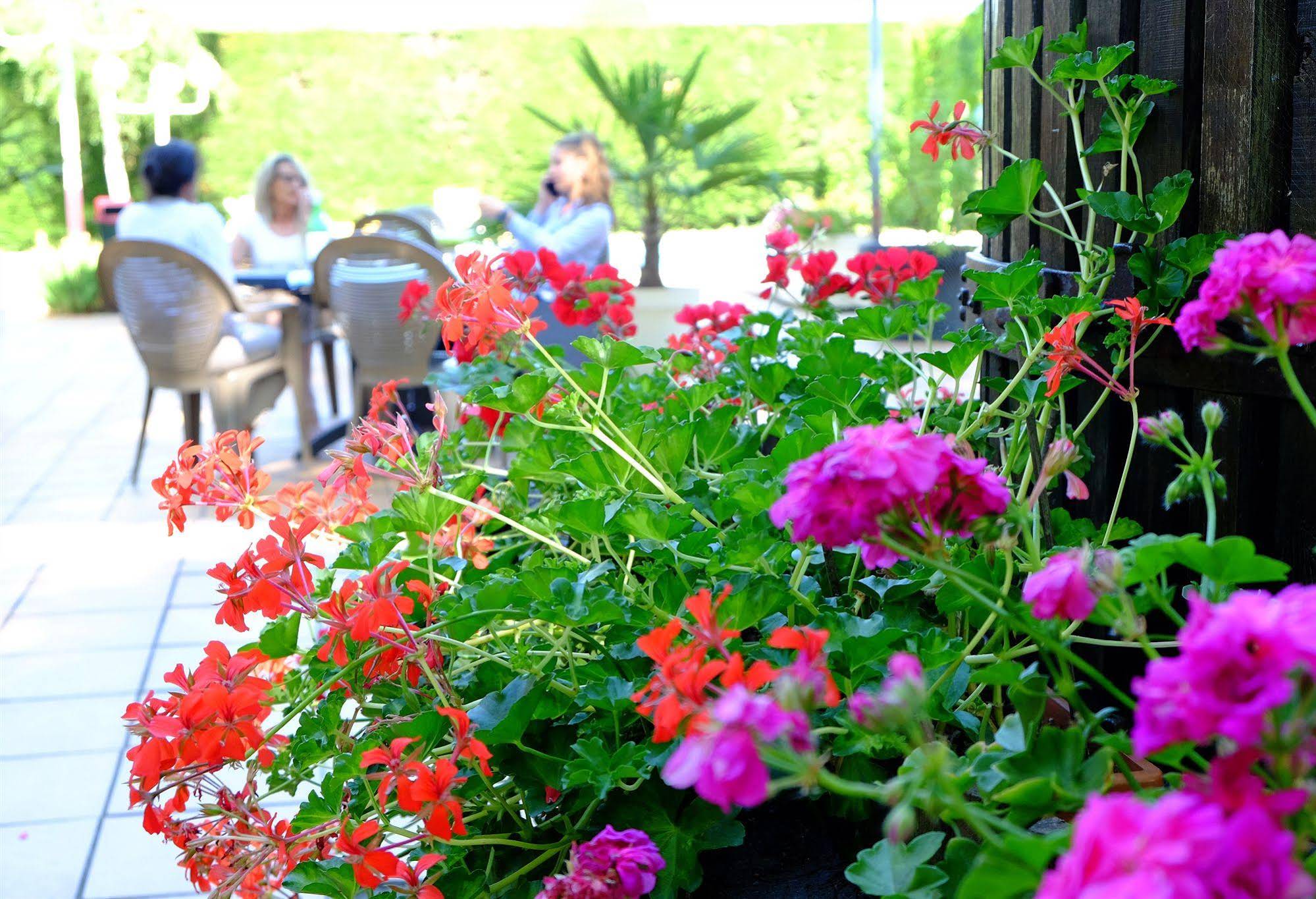 Logis Hôtel & Restaurant Ludik