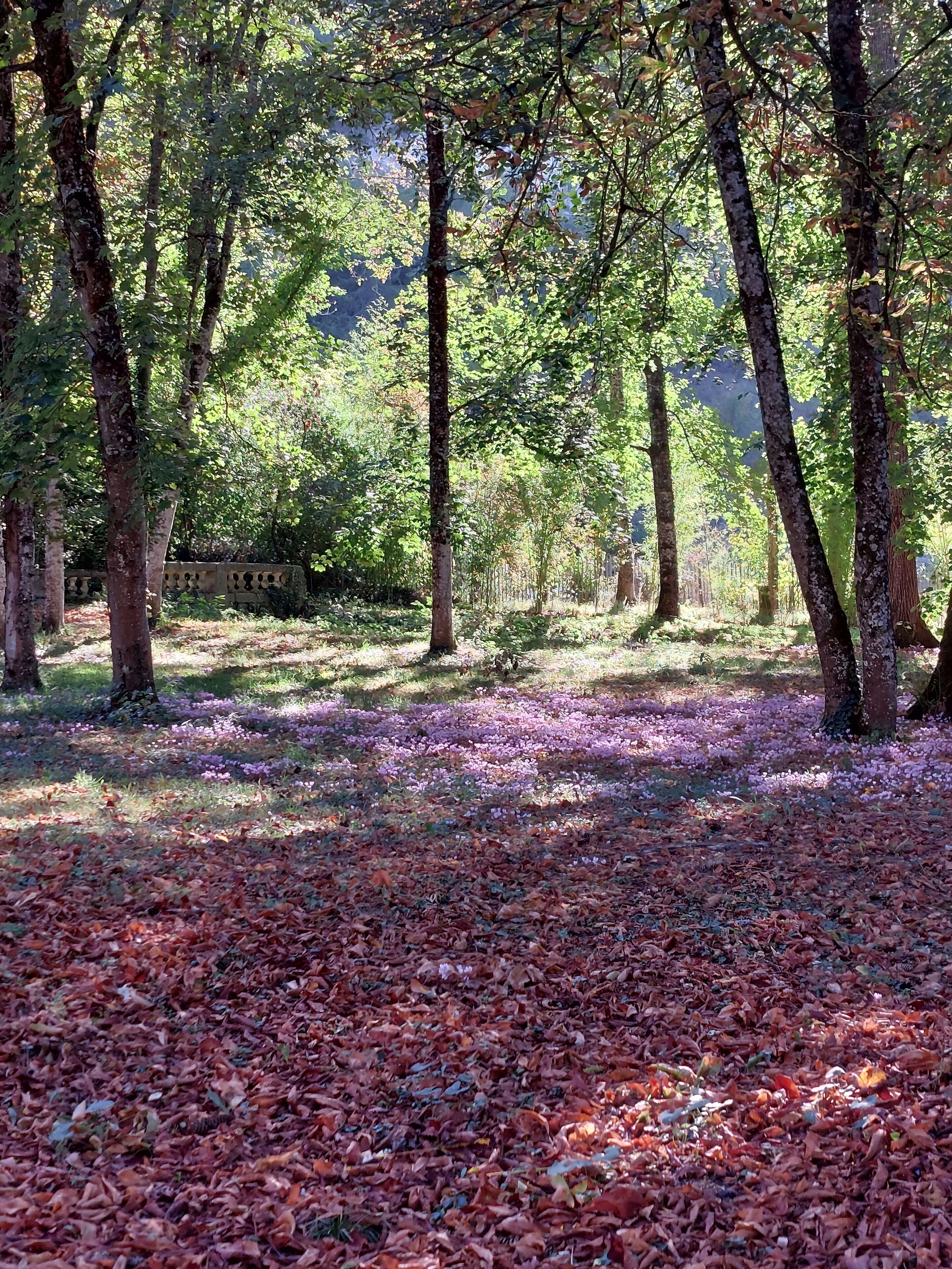 Château D'Argentonesse