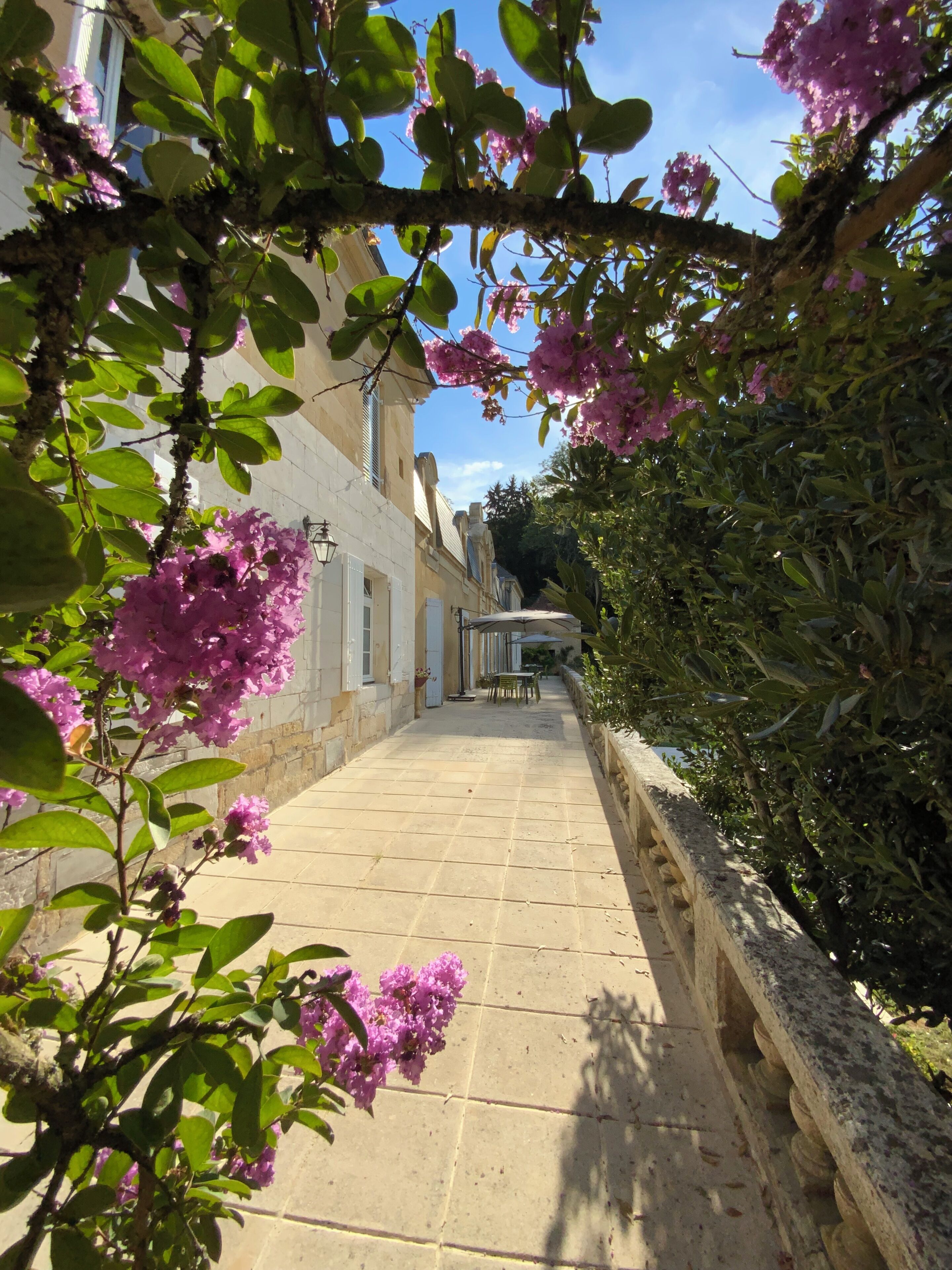 Château D'Argentonesse