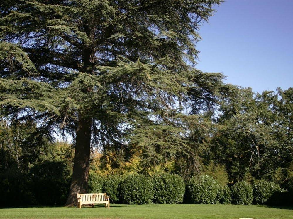 Chateau Mont-D’Onel