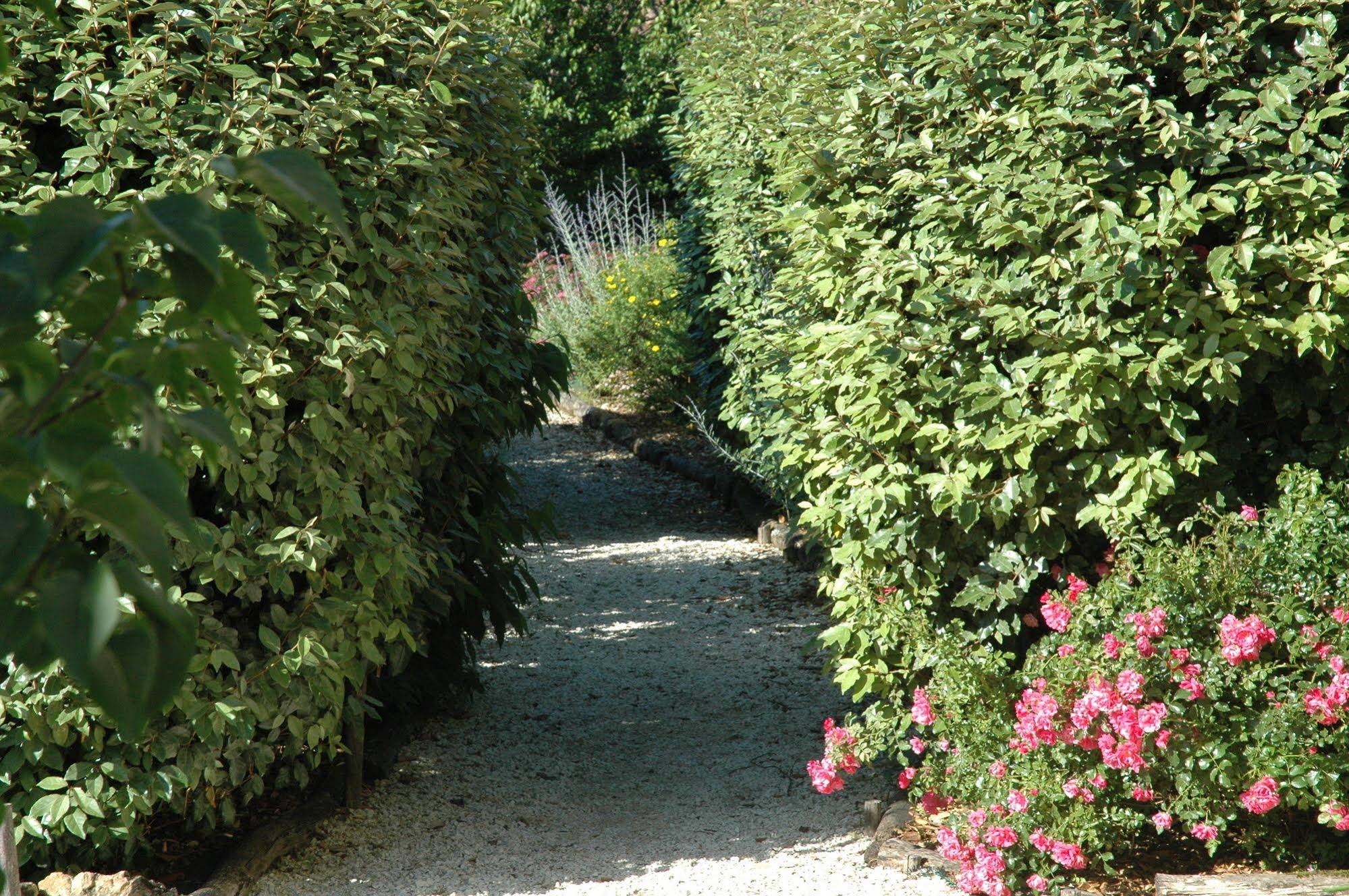 La Tulipe Périgourdine