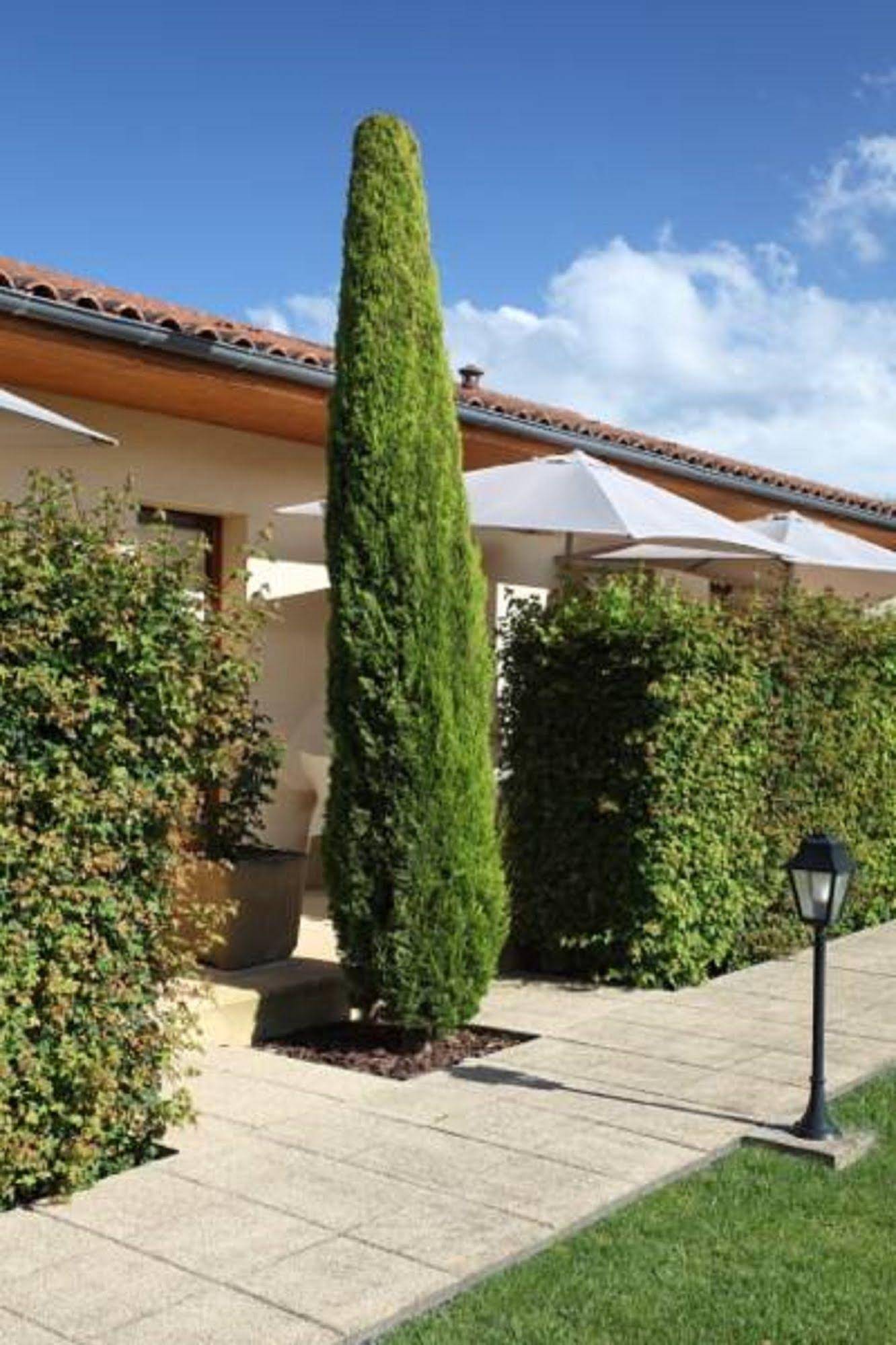 Hotel Le Mas Del Pechs