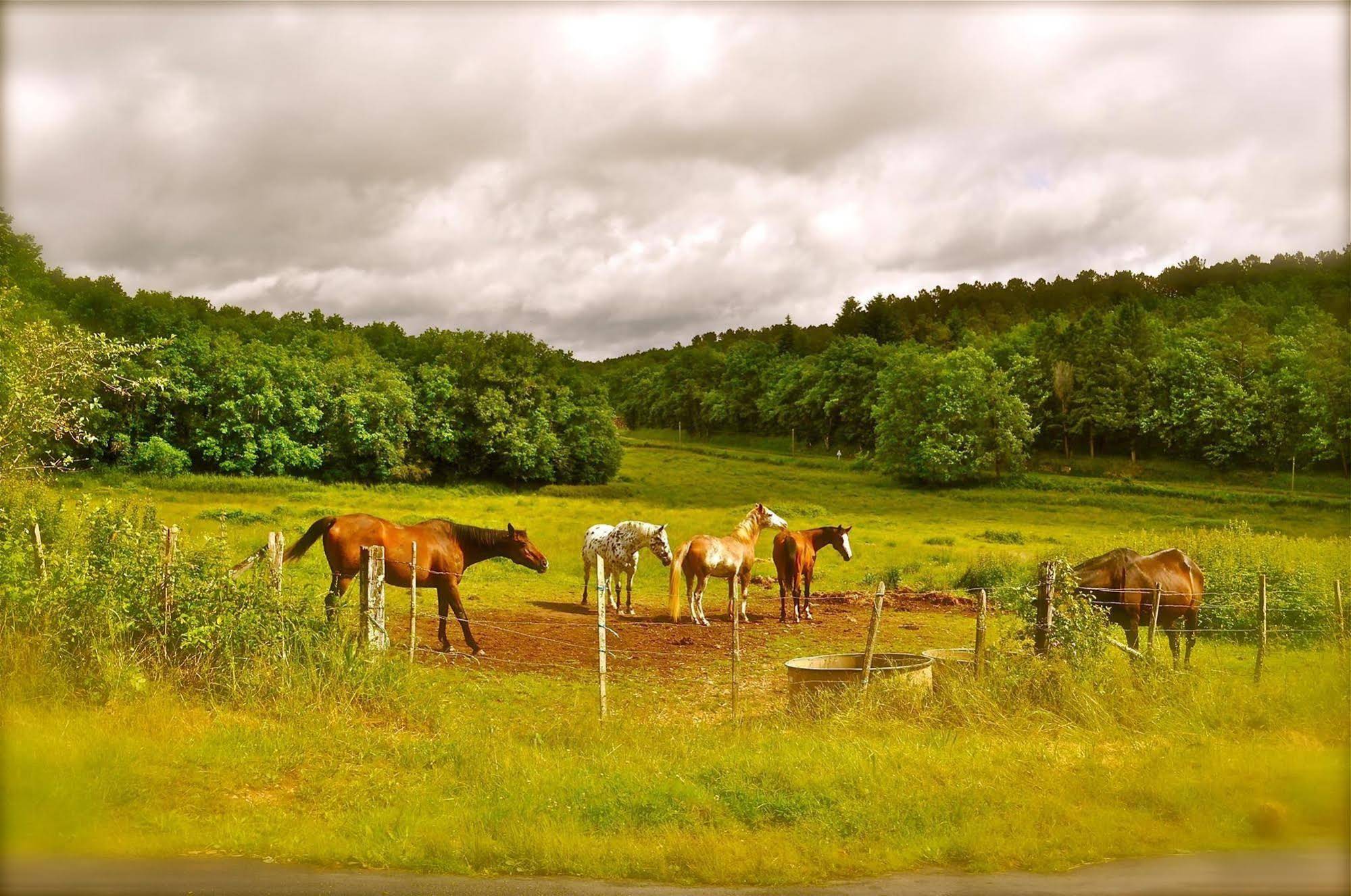 Domaine des Bories