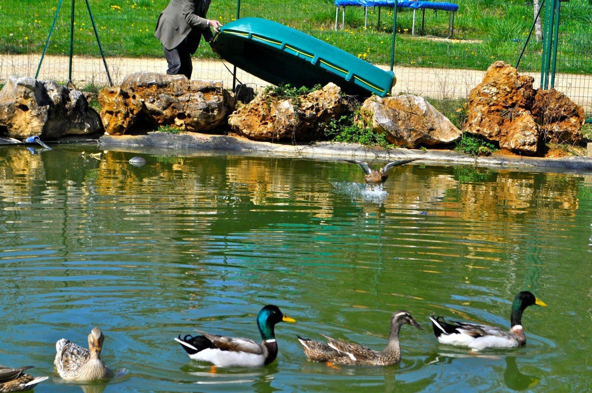 Domaine des Bories