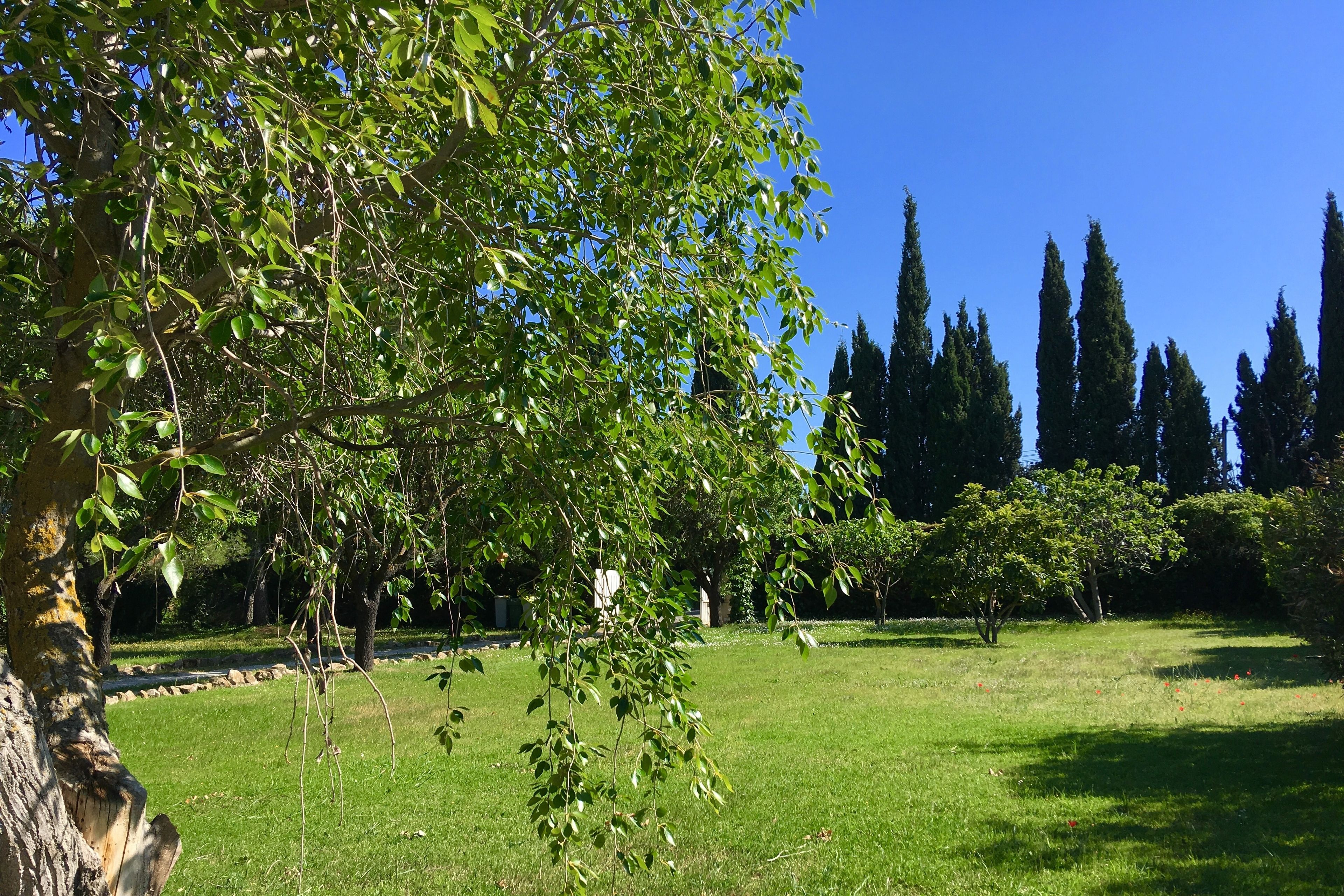 Domaine de Carraire