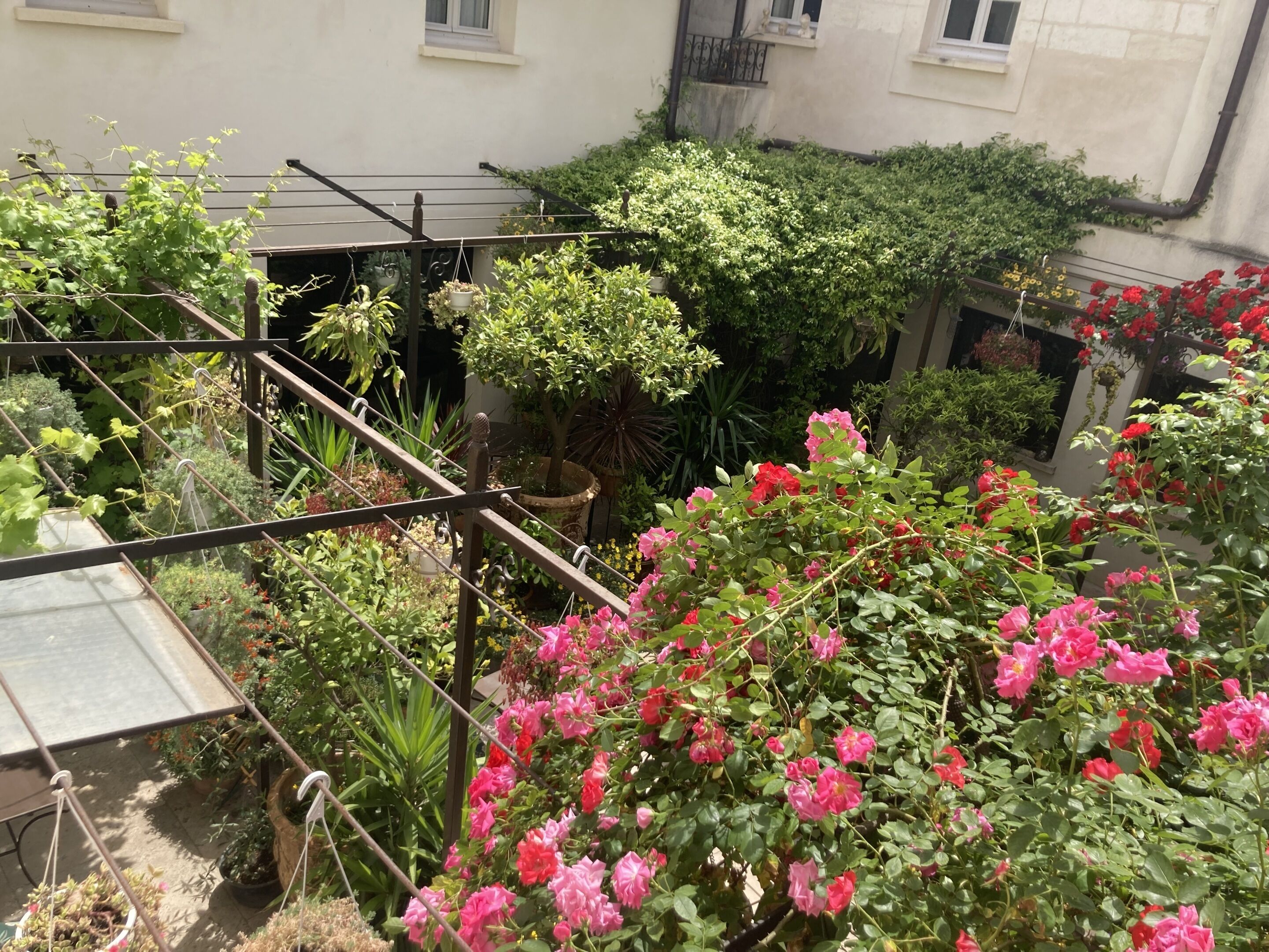Aux Augustins