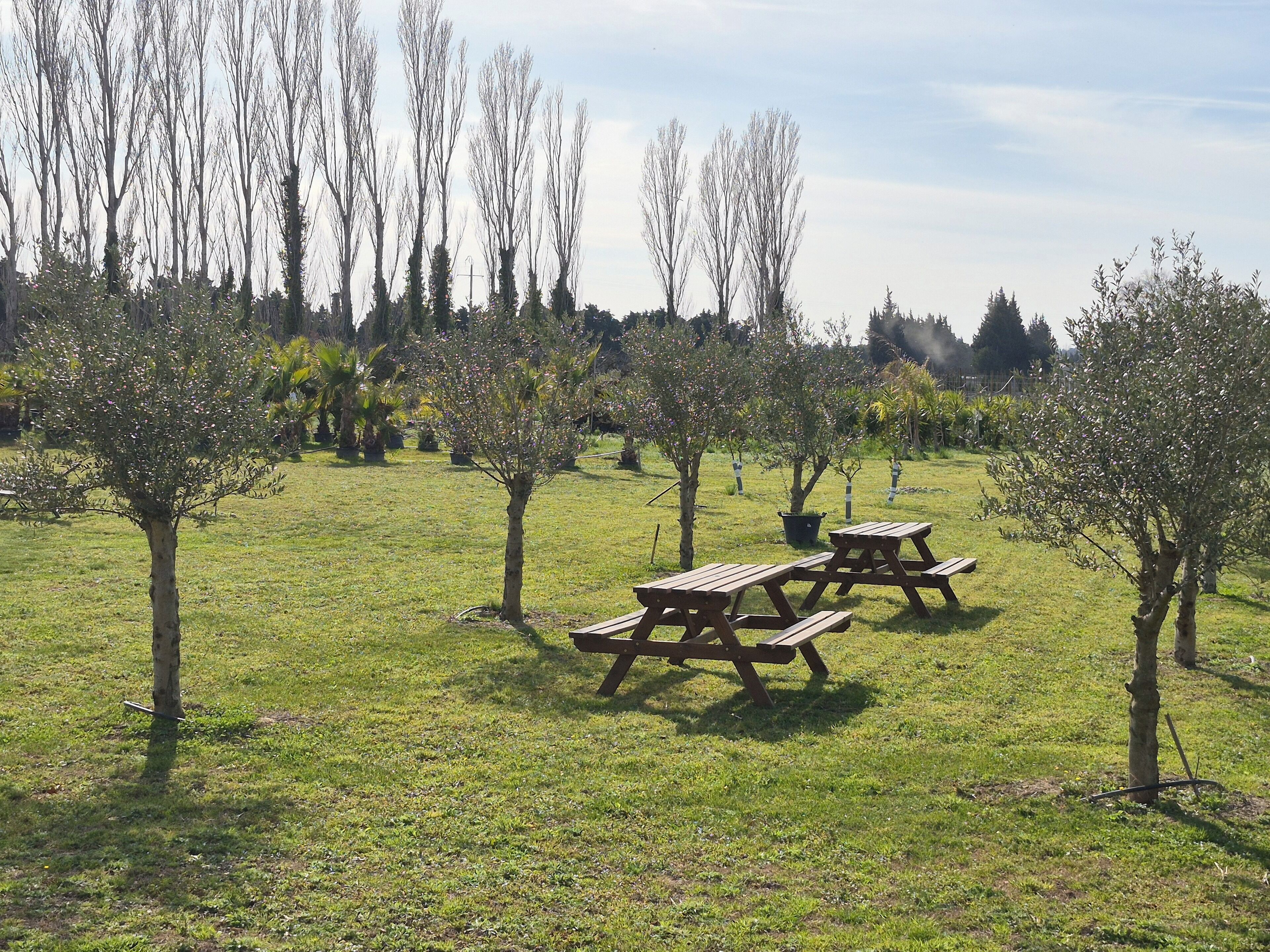 Mas des Cerisiers