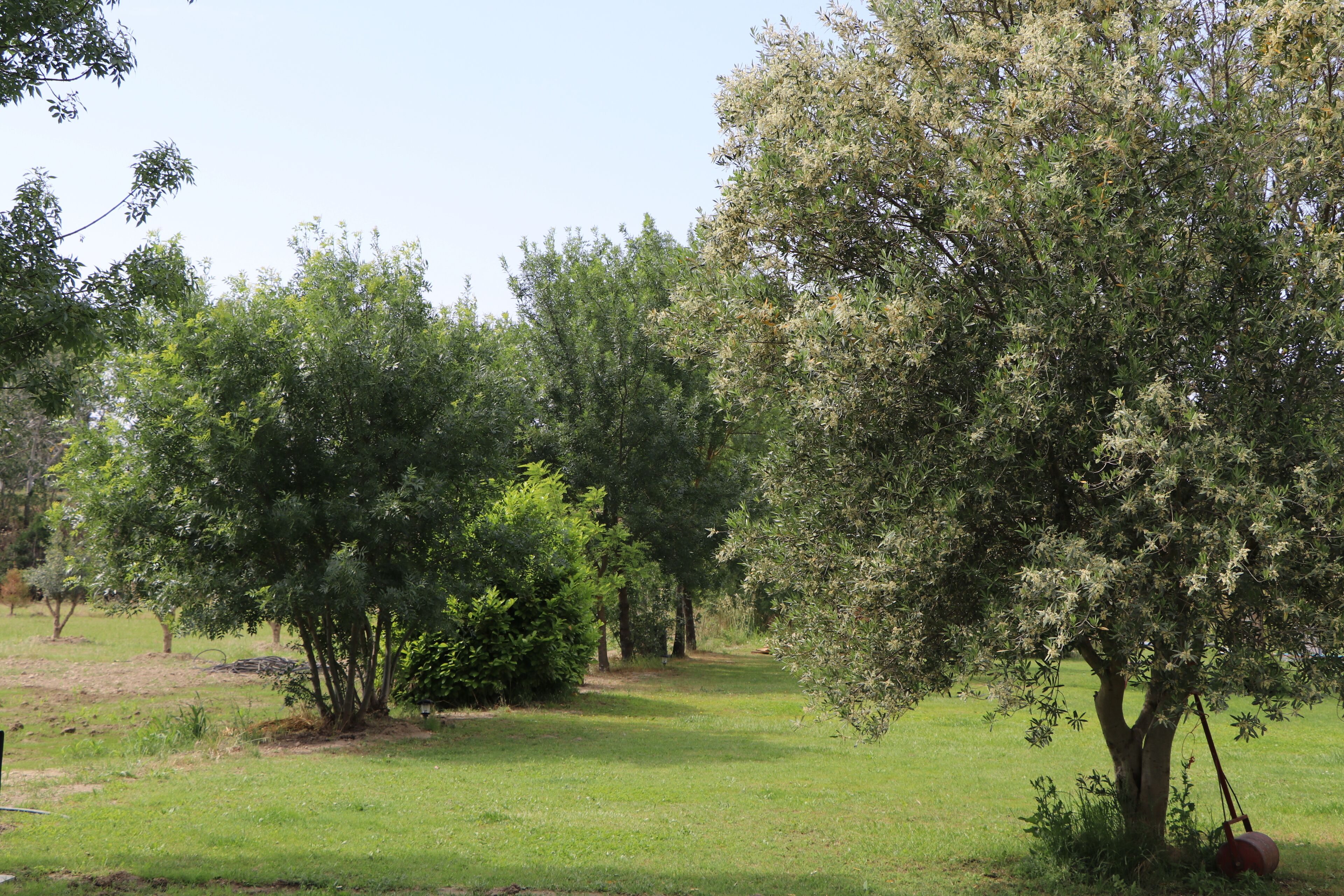 Mas des Cerisiers
