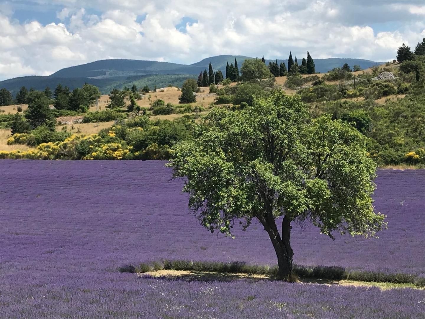 Oustau Du Ventoux