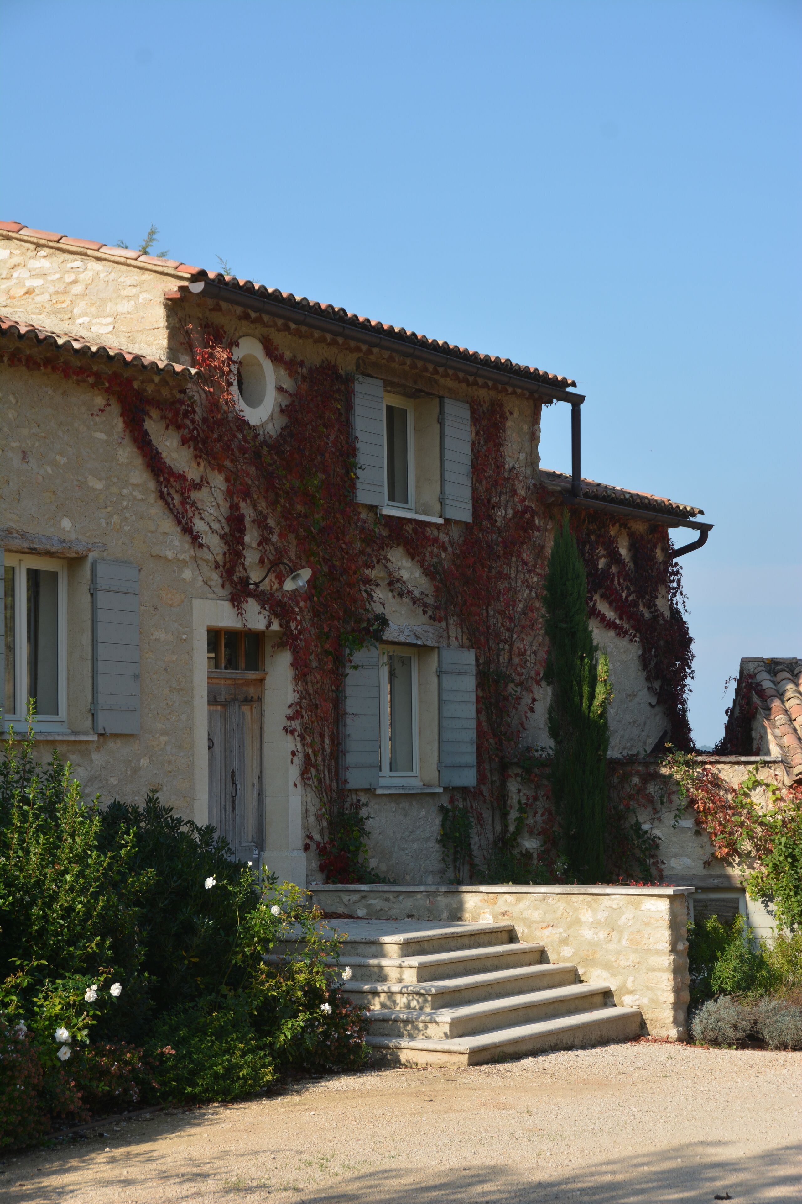 La Couleur des Vignes