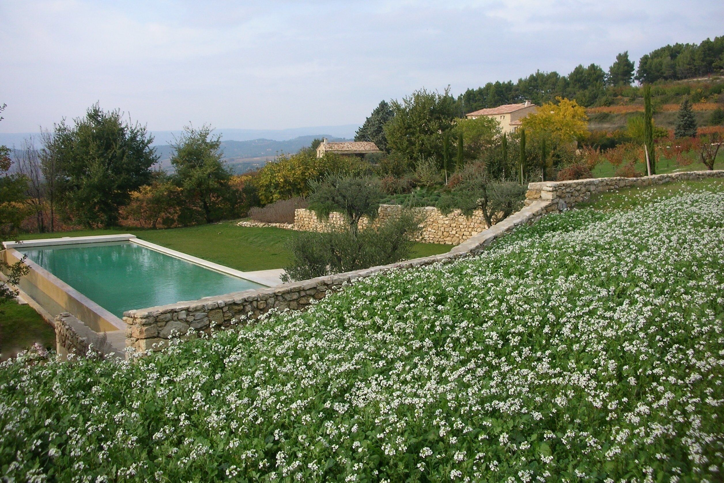 La Couleur des Vignes