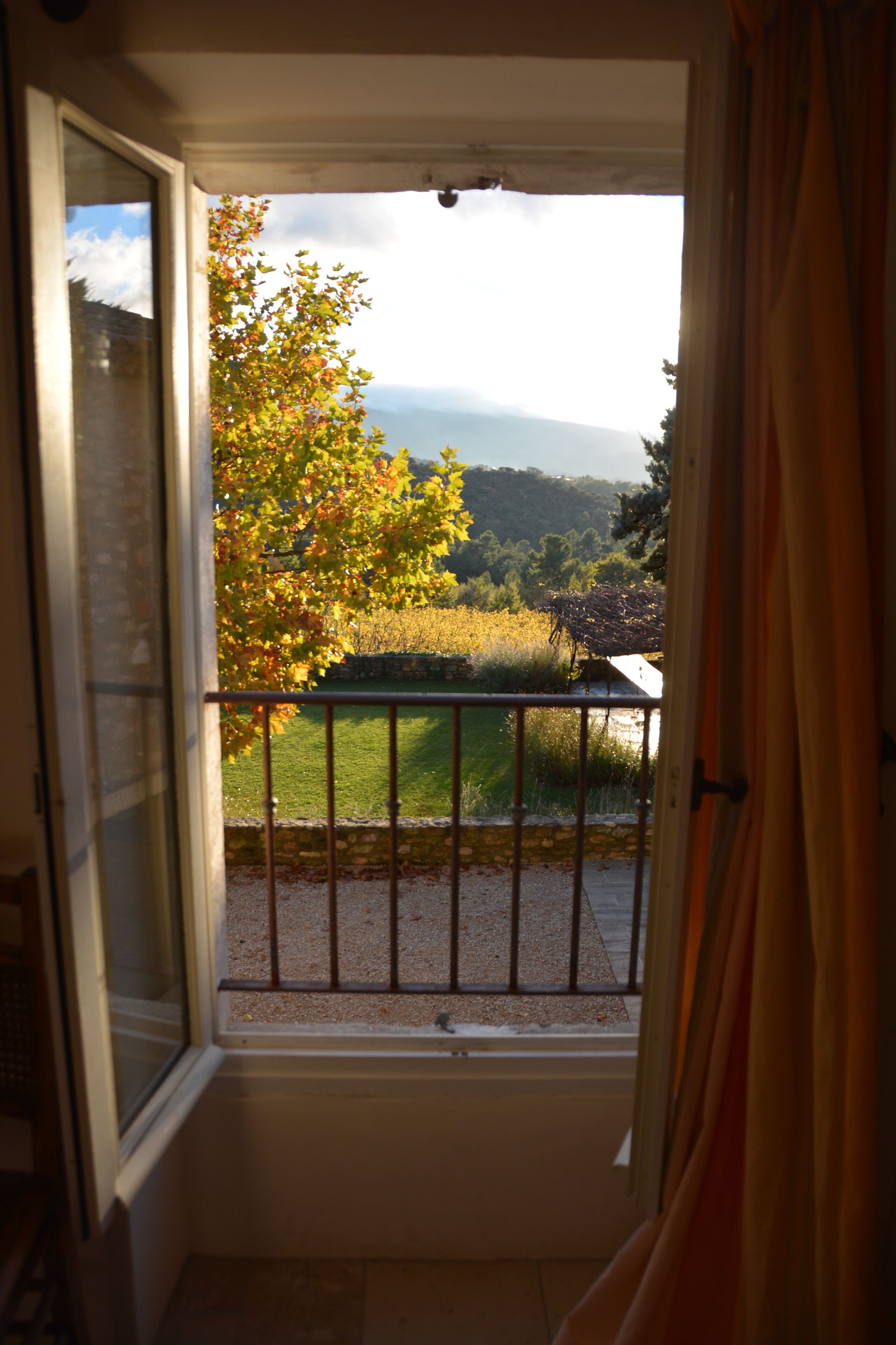 La Couleur des Vignes