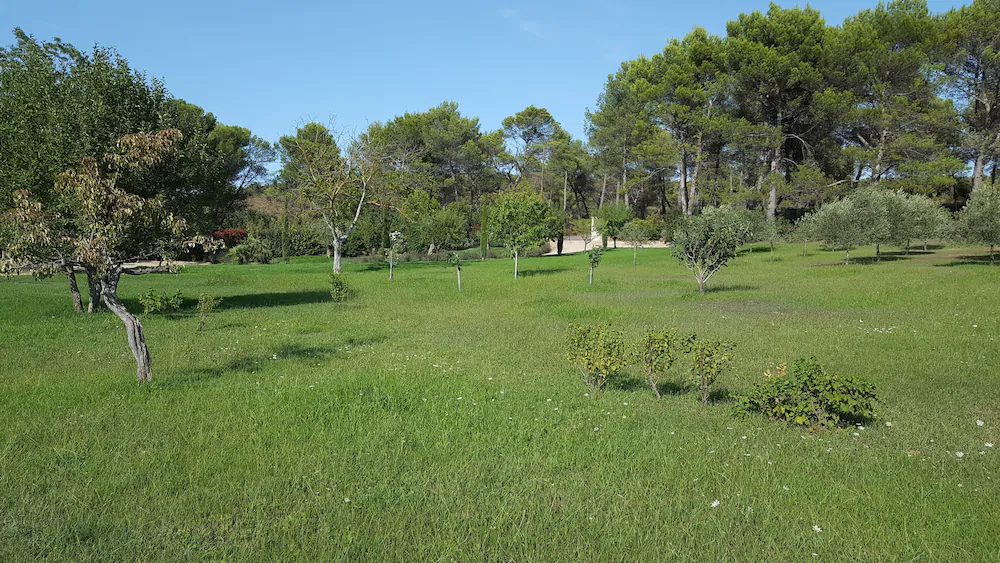 Campagne Petite Mère