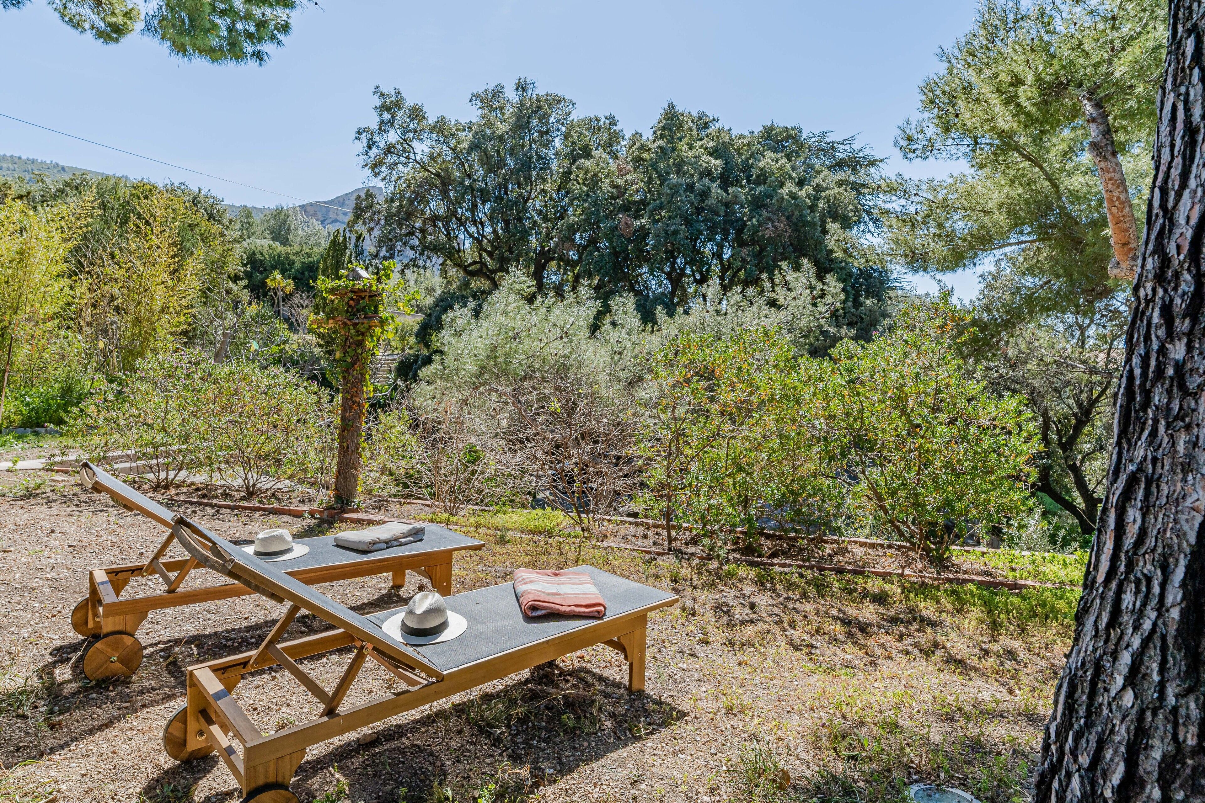 Domaine Maraspar Cassis