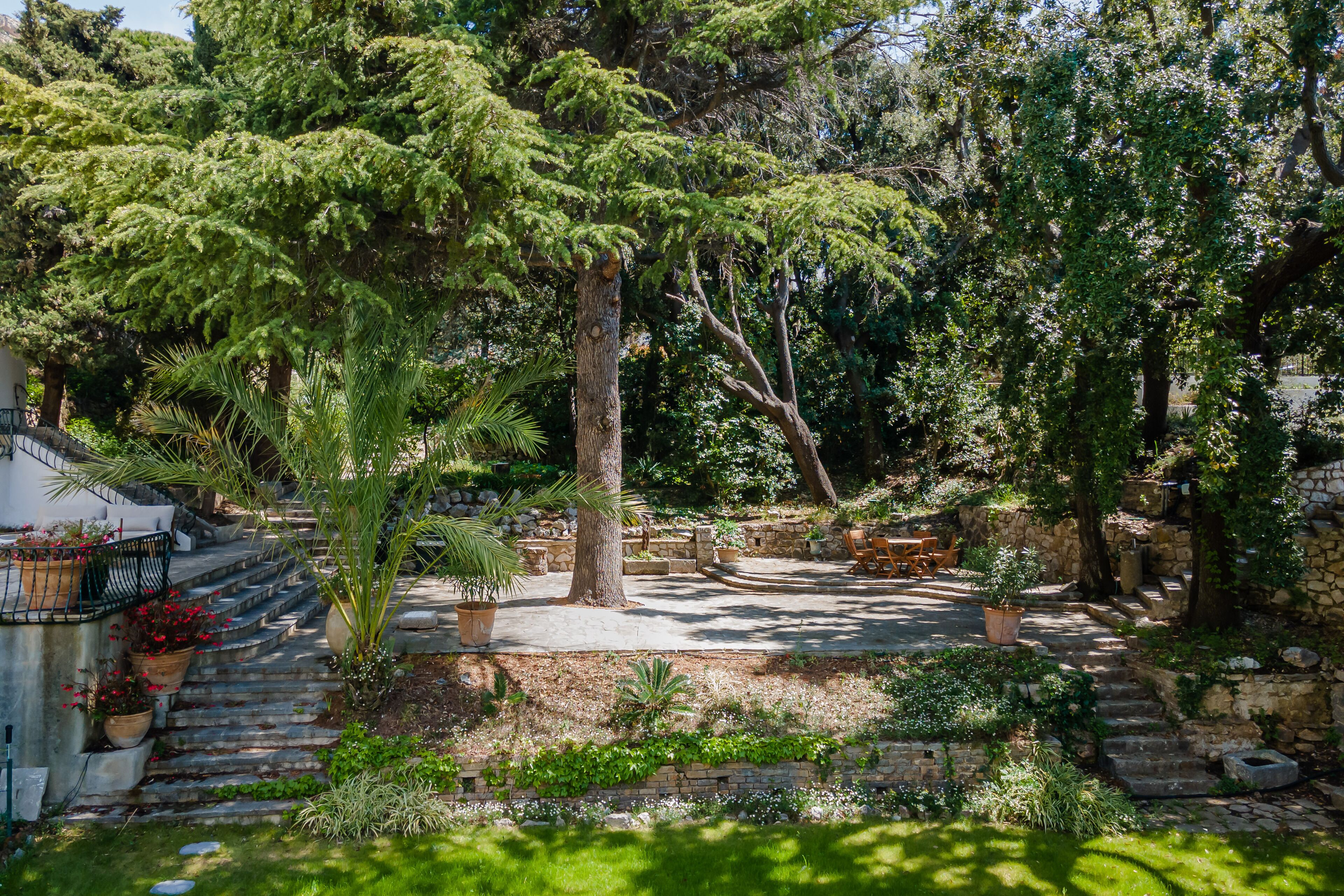 Domaine Maraspar Cassis
