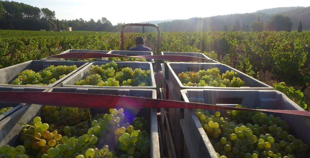 Clos de l'Ours