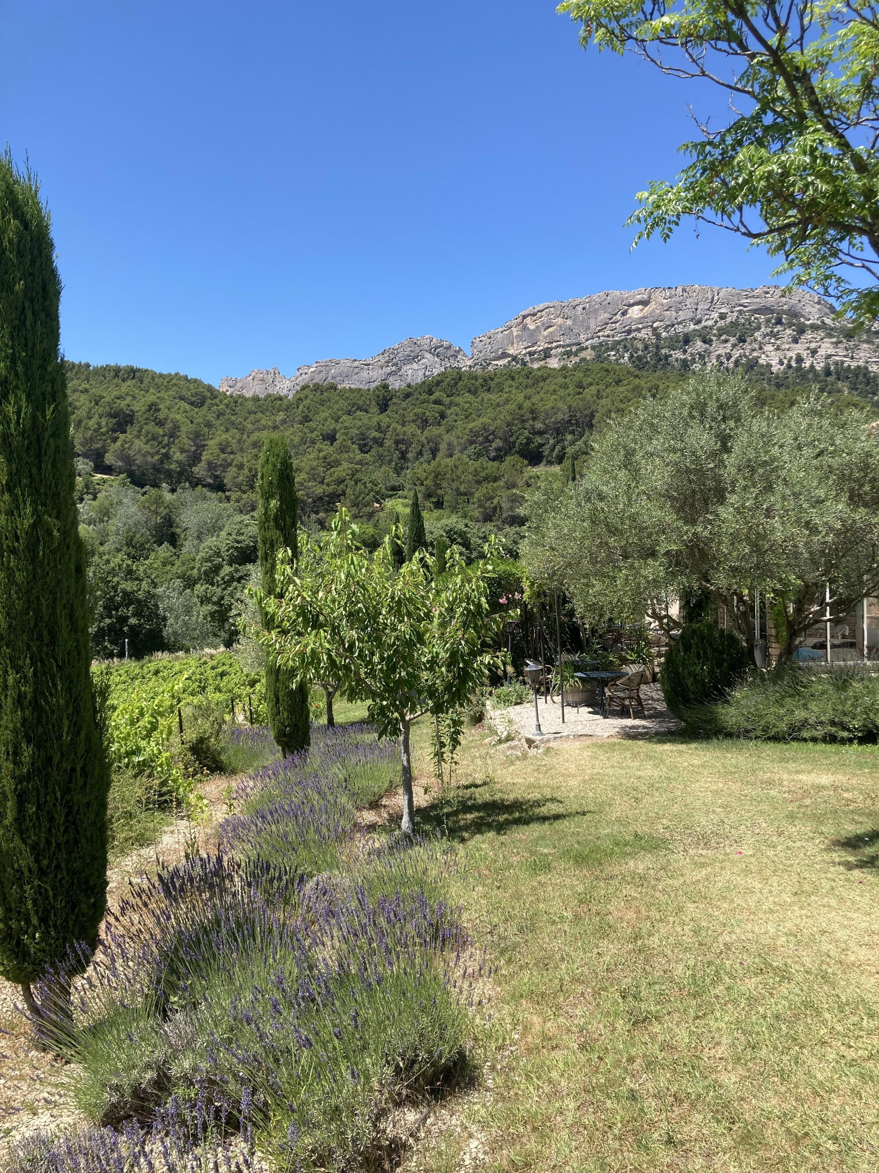 Au Soleil Du Bonheur