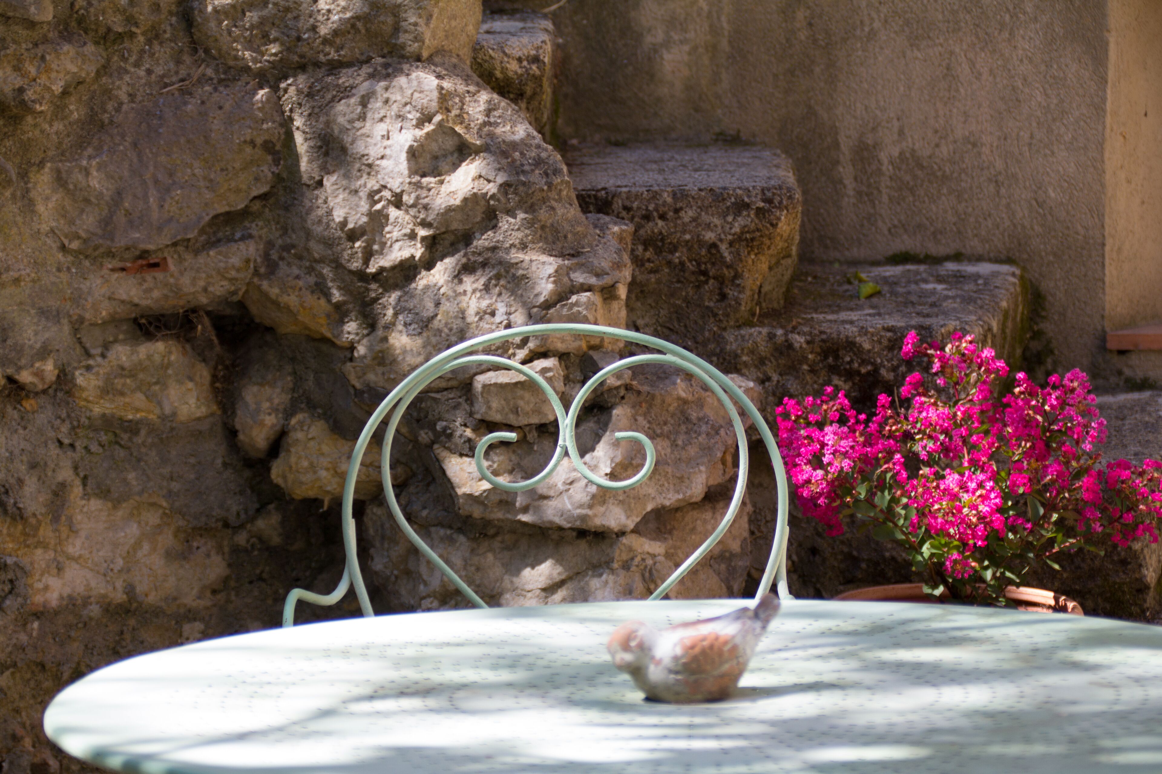 Aux Oiseaux De Provence